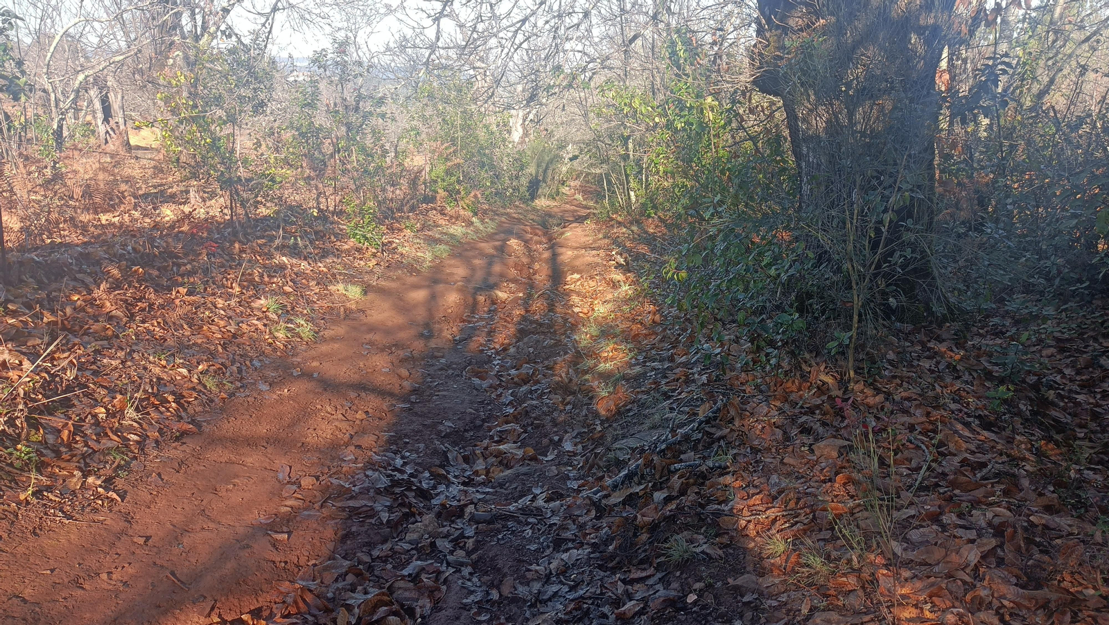 La bajada tiene tramos inclinados y muy erosionados.