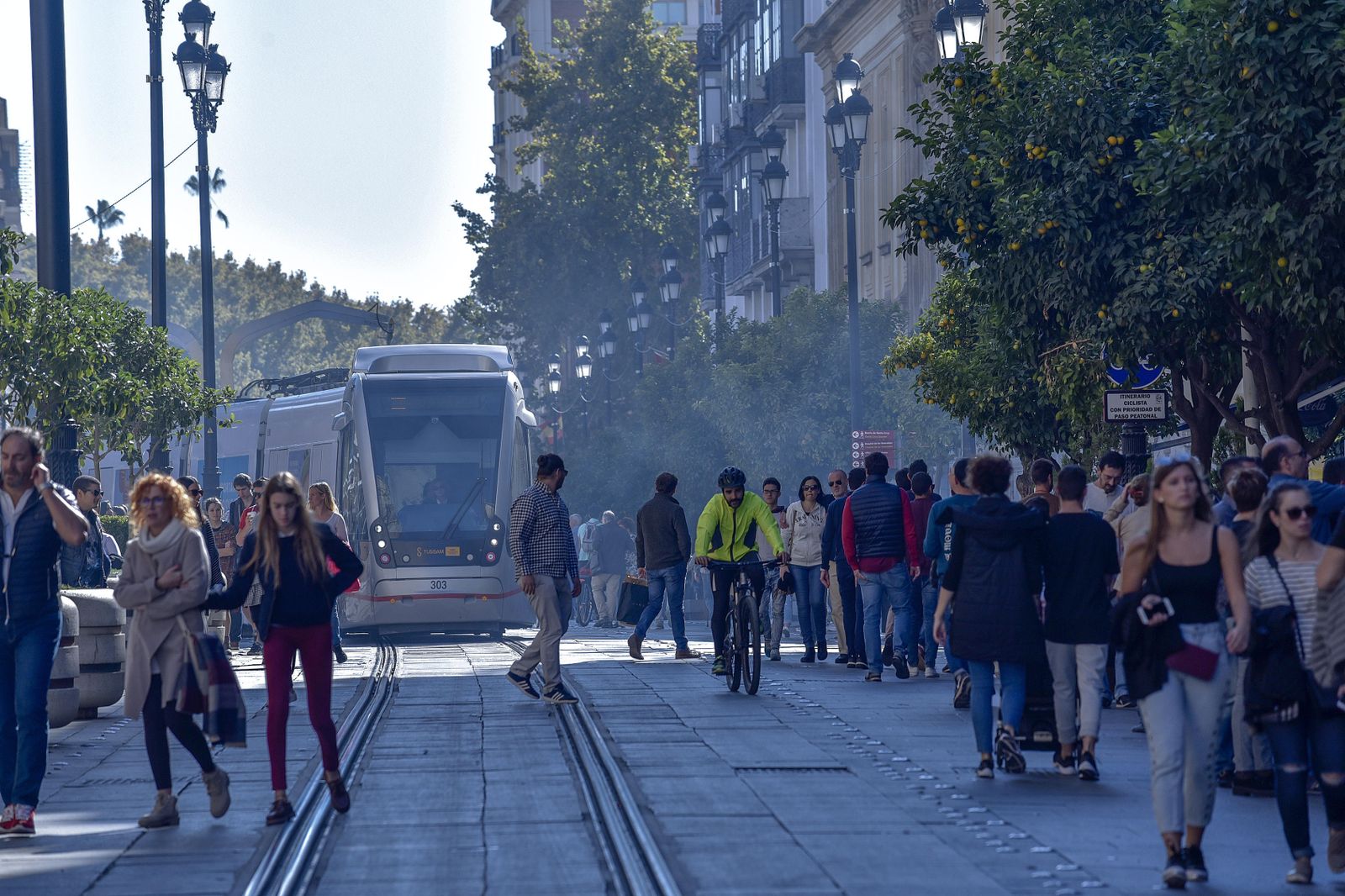 Avenida de la Constitución.