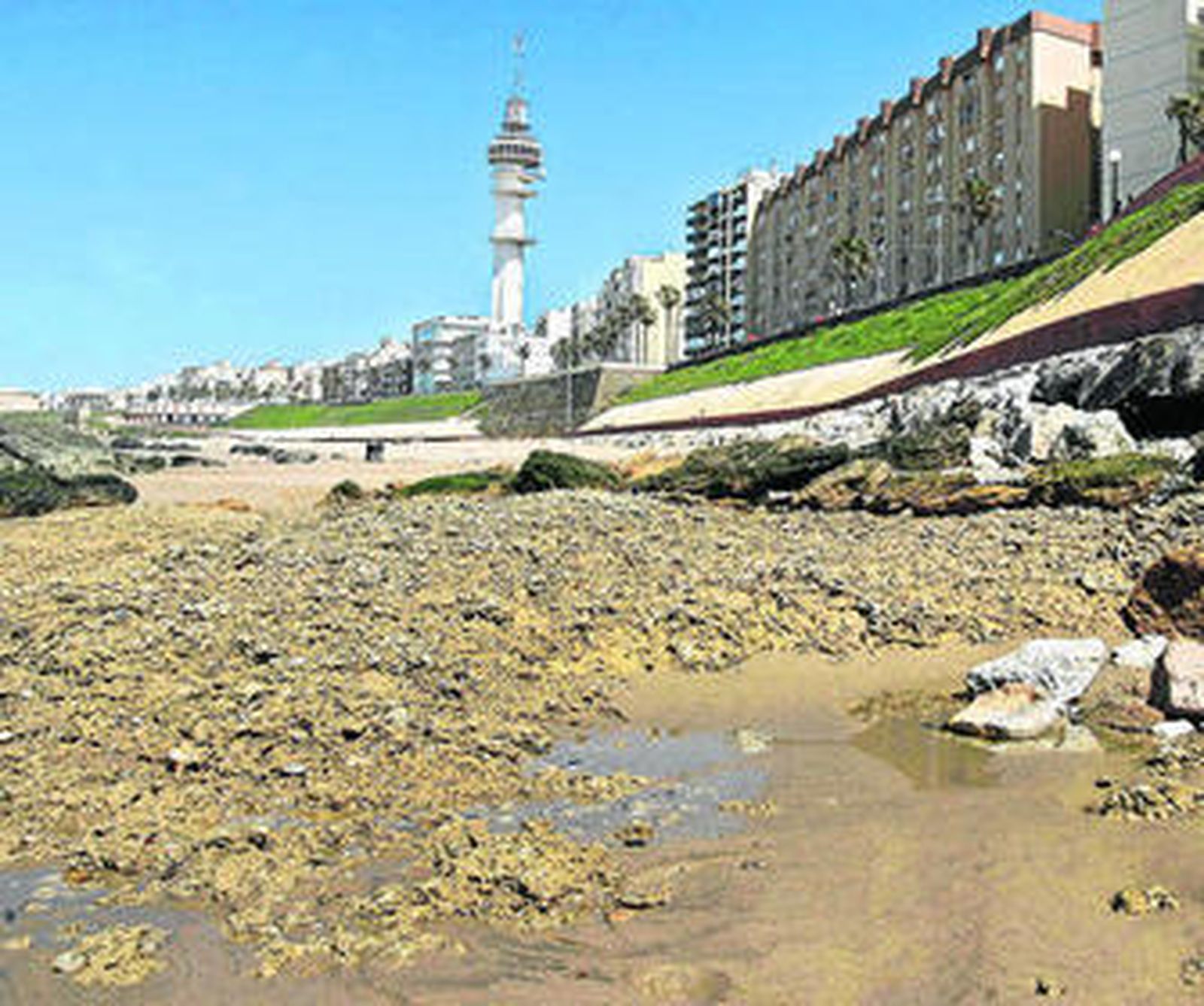 Estado que presenta estos días la playa de Santa María del Mar sin arena.