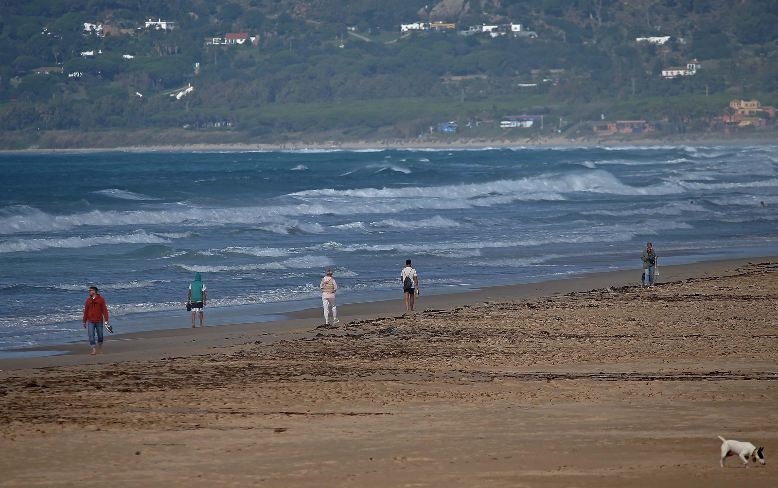 Imágenes de una mañana de noviembre en Tarifa