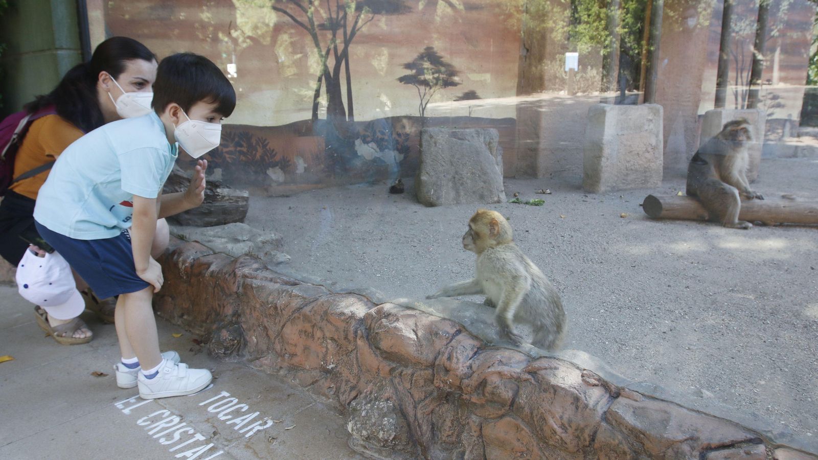 Un niño y su madre visitan la zona de los macacos.