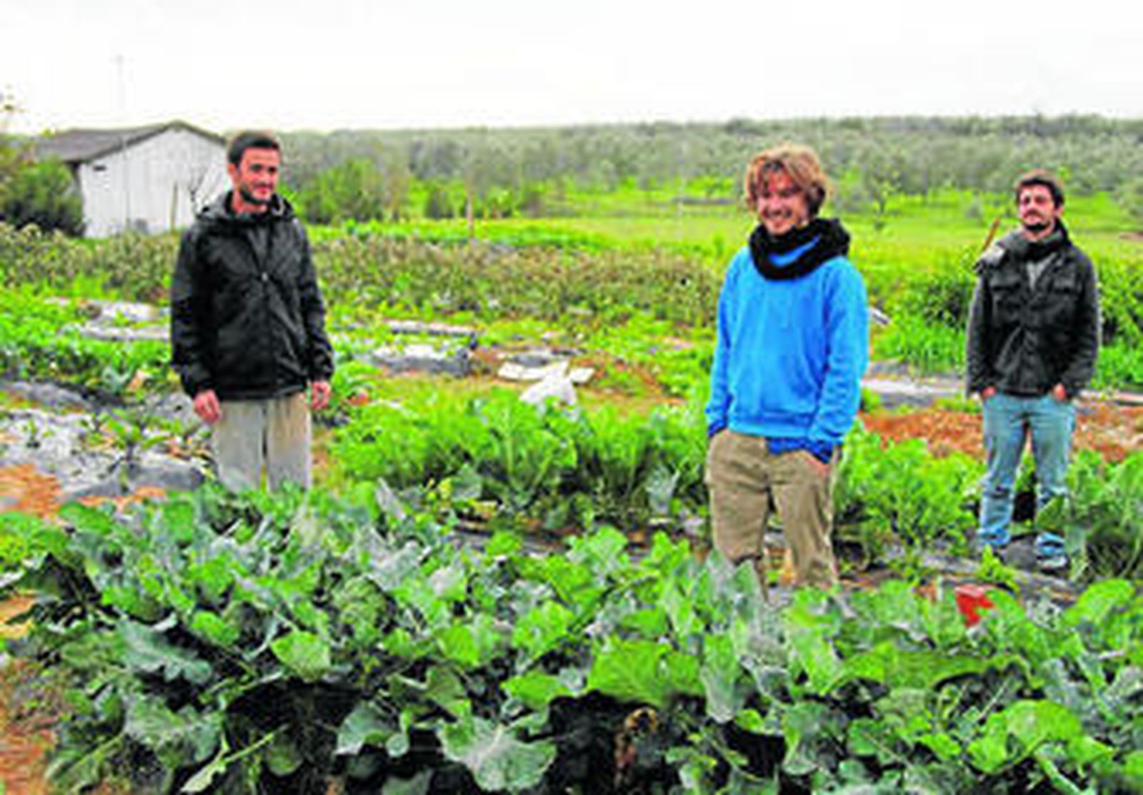 Carlos García Corral, Álvaro Díaz del Real y Pablo Piñero, en el huerto de mil metros cuadrados que han montado en Mairena del Aljarafe.