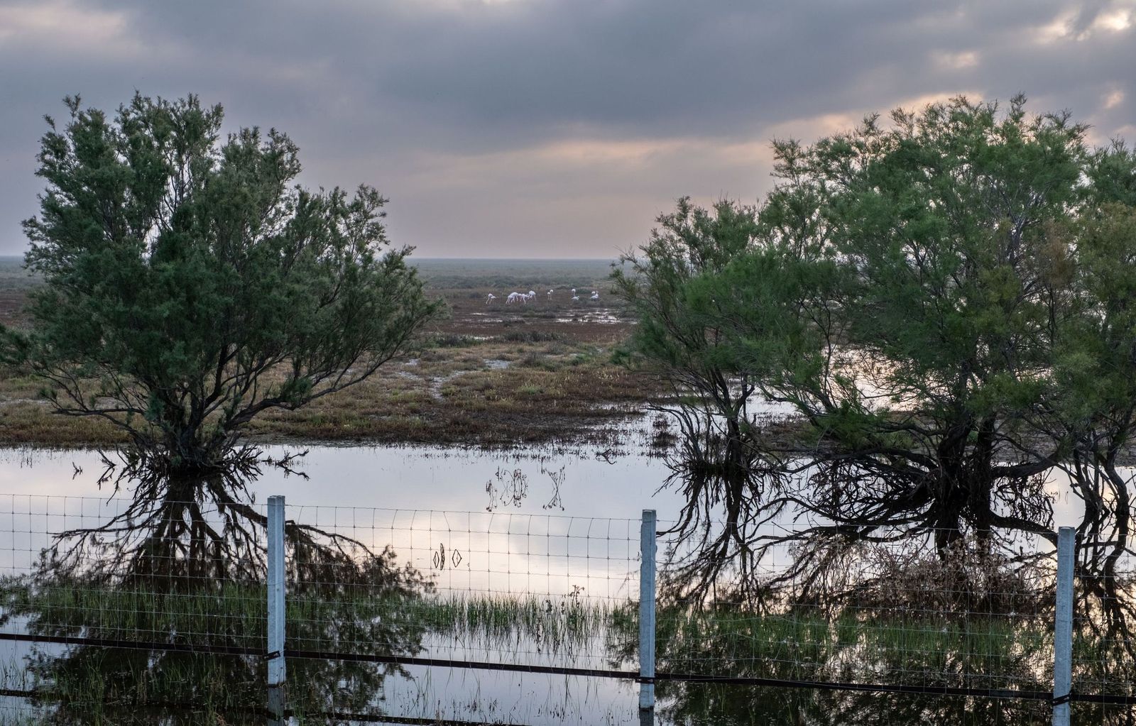 Una de las lagunas de Doñana, en una imagen de archivo.