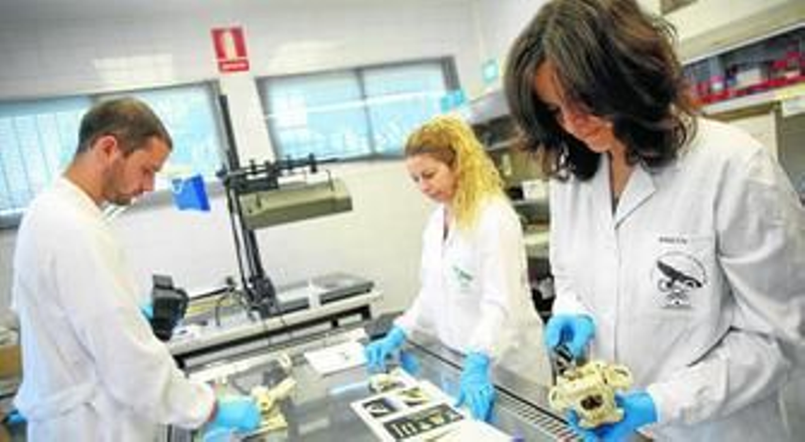 Técnicos trabajan en el Centro de Análisis y Diagnóstico de la Fauna Silvestre de Andalucía, con sede en Málaga.