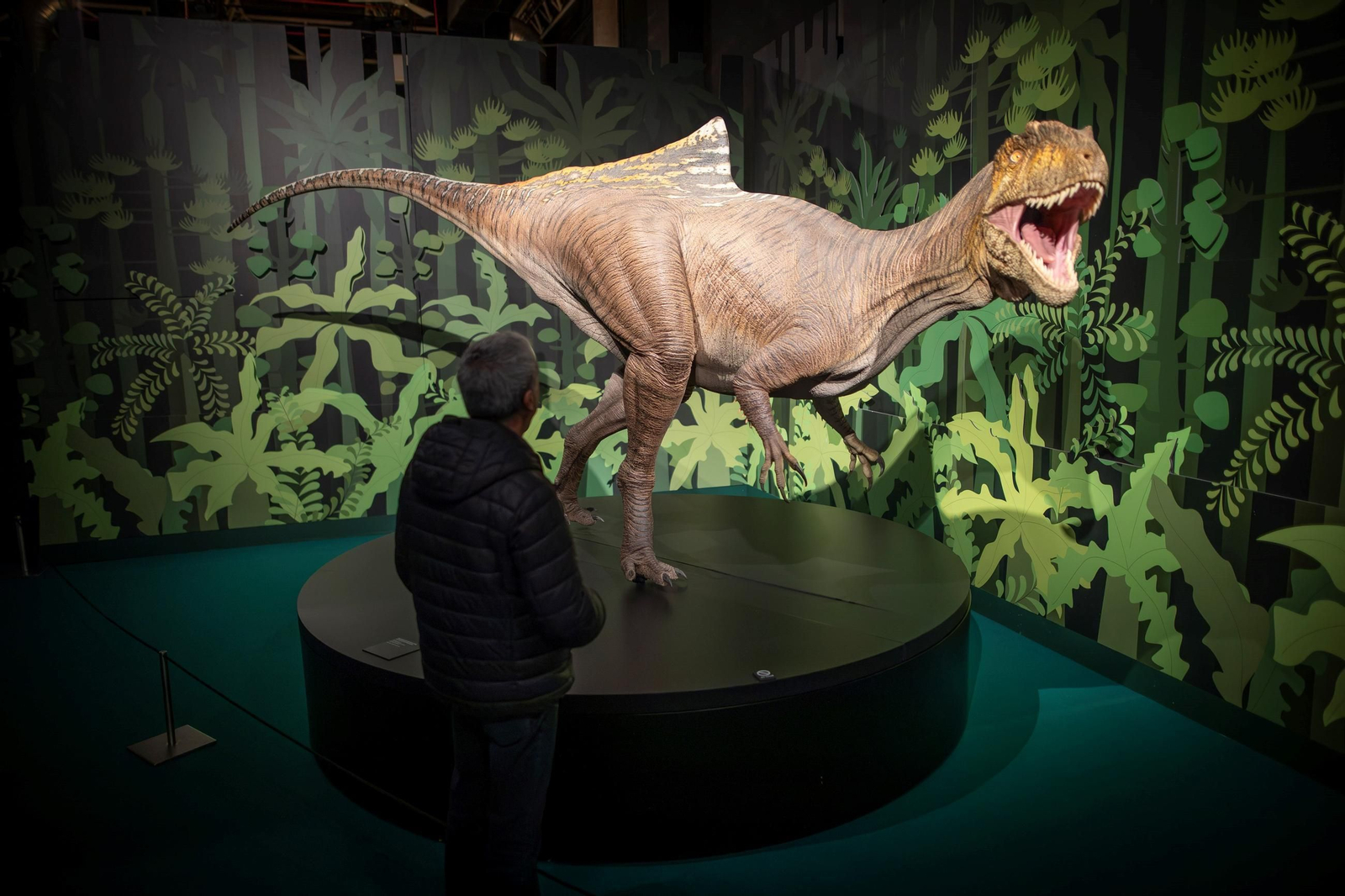 Así se han apoderado los dinosaurios del Parque de las Ciencias de Granada