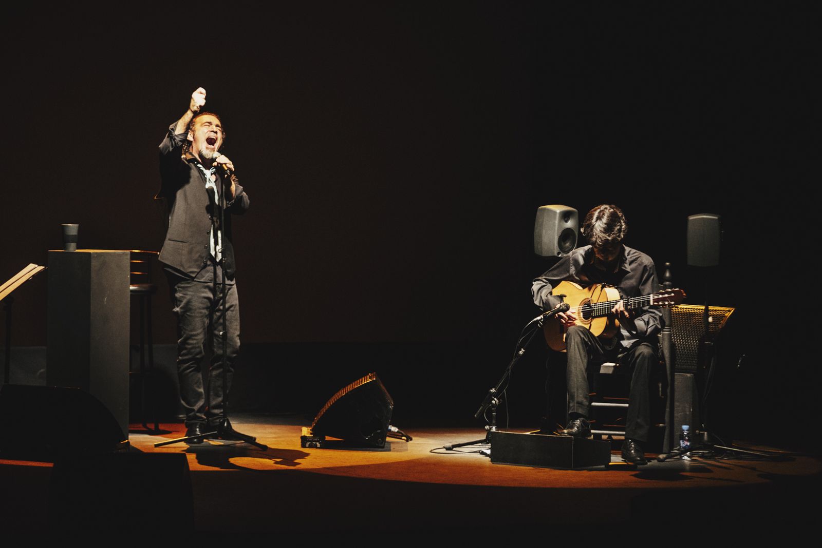 IV Festival de Flamenco en La Algaba.