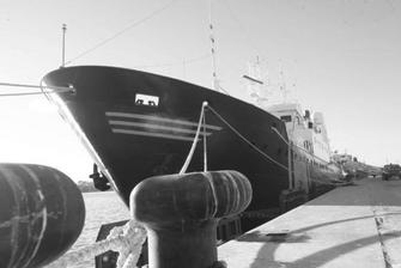 El buque 'Petrel' atracado ayer en las instalaciones del puerto Bahía de Algeciras.