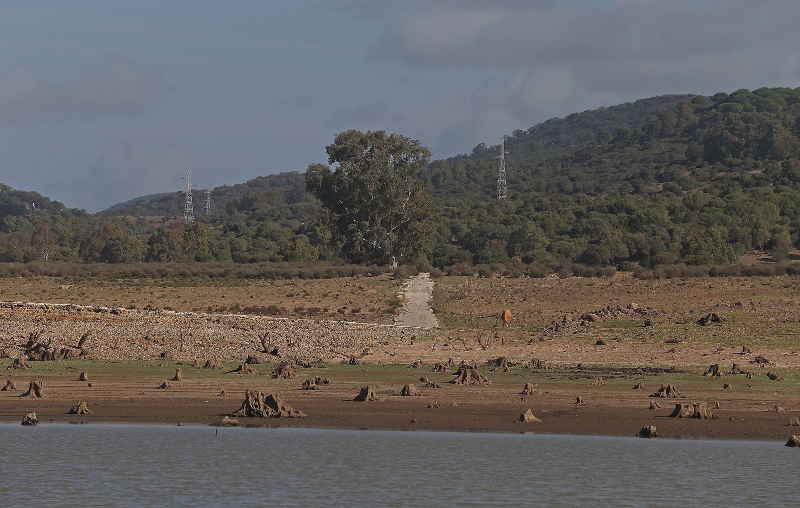 Imágenes del pantano de Charco Redondo en Los Barrios