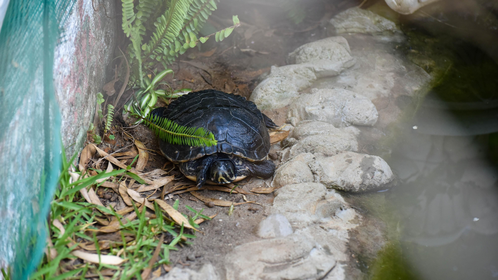 Un día en el Parque Princesa Sofía en La Línea