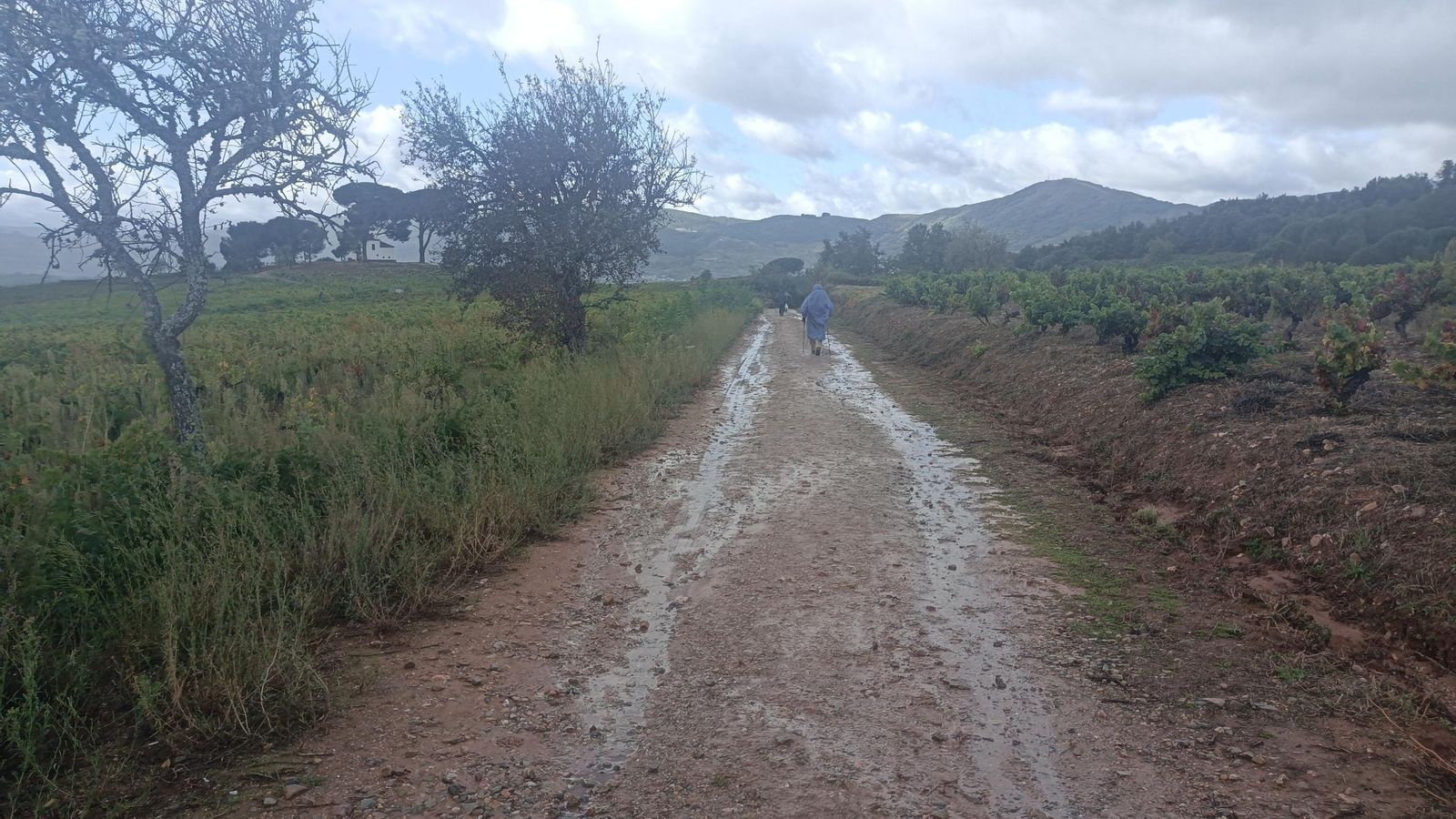 Nos acompañarán más peregrinos por estos tramos.