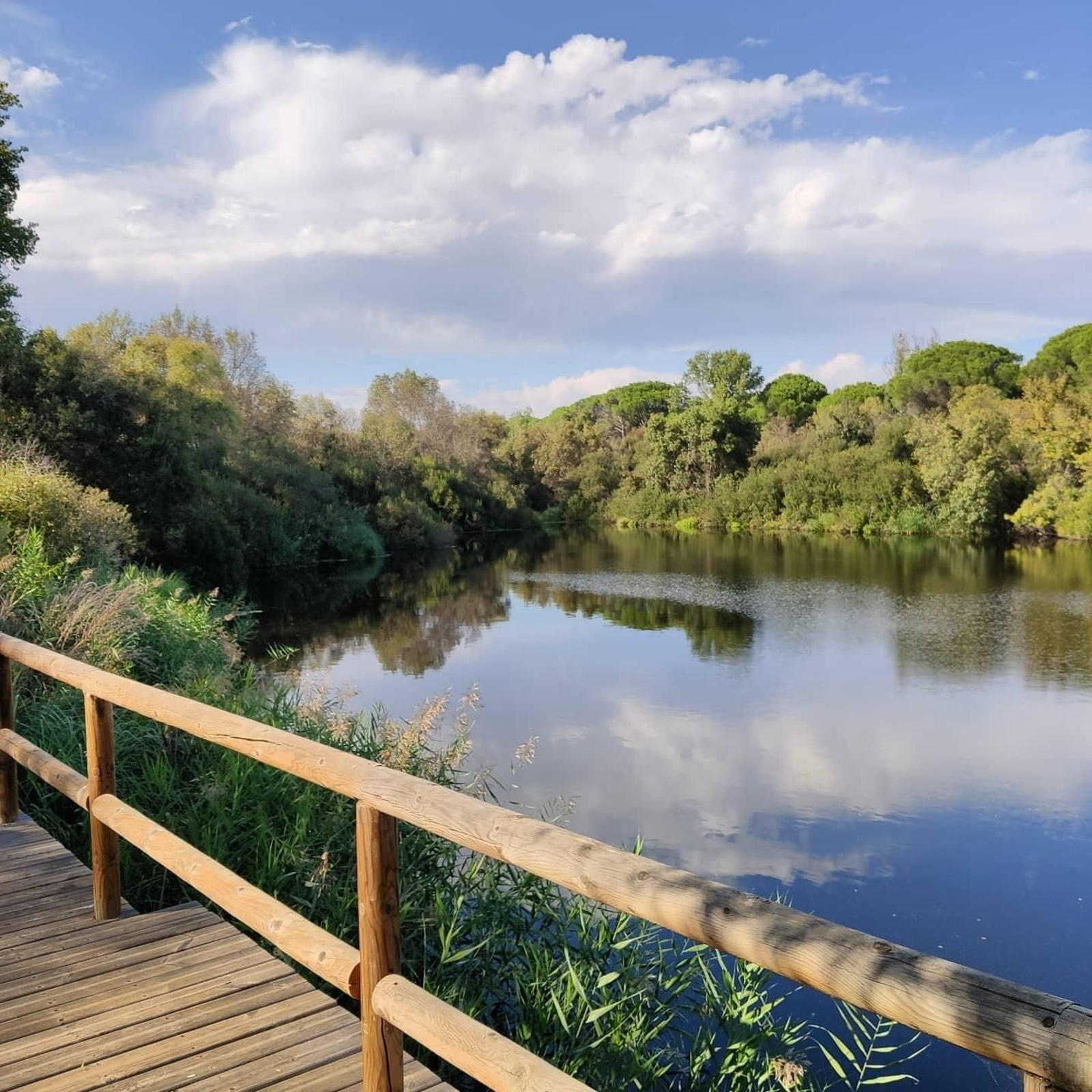 Palacio del Acebrón