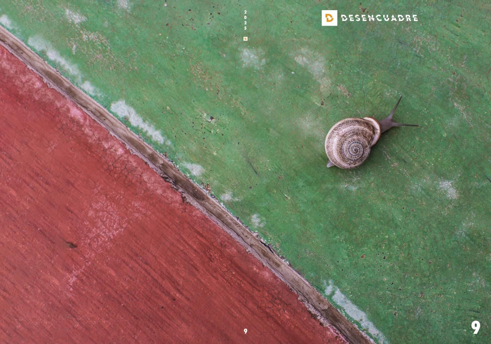 Portada y contraportada del número 9 de la revista D.