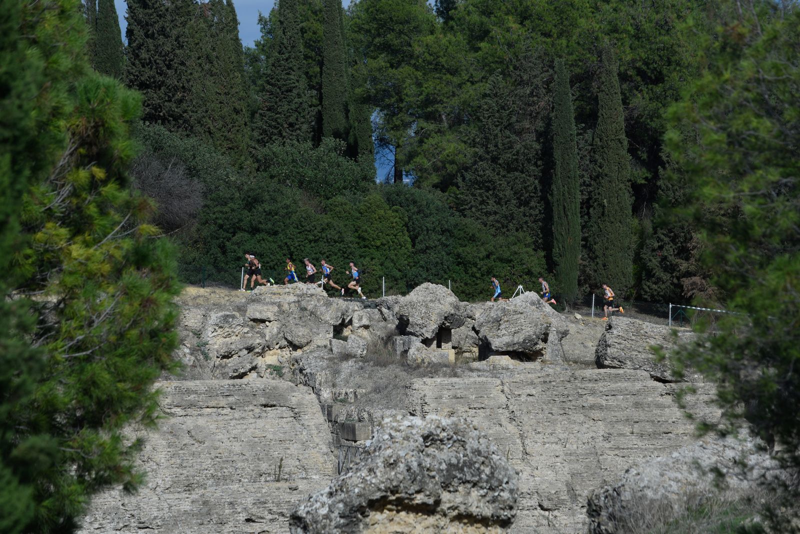 Las imágenes del Cross Internacional Itálica 2022