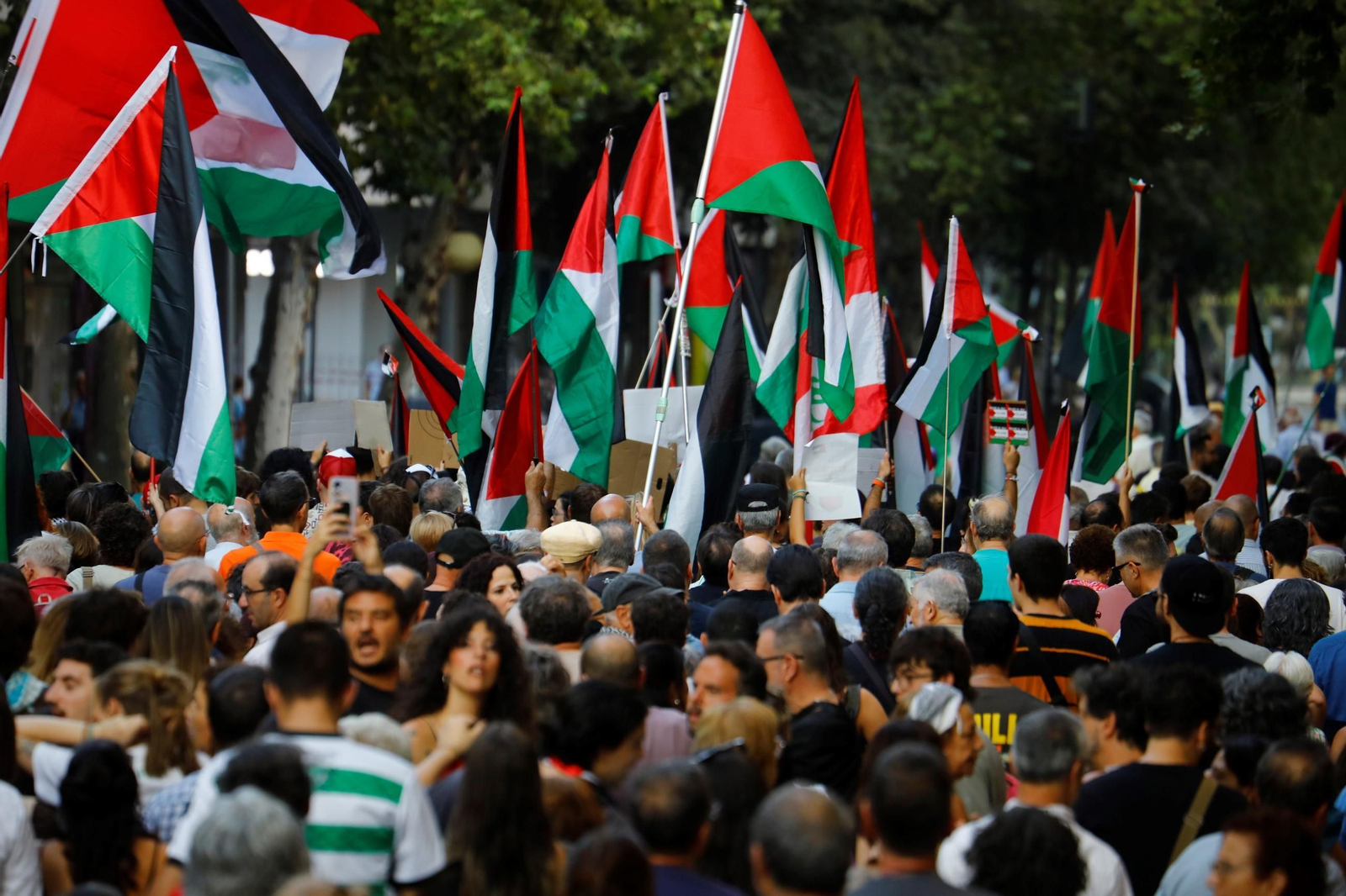 Las imágenes de la manifestación de Córdoba por Gaza