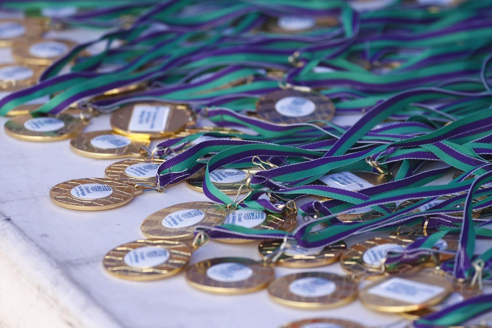 La travesía a nado del puerto de Málaga, en imágenes