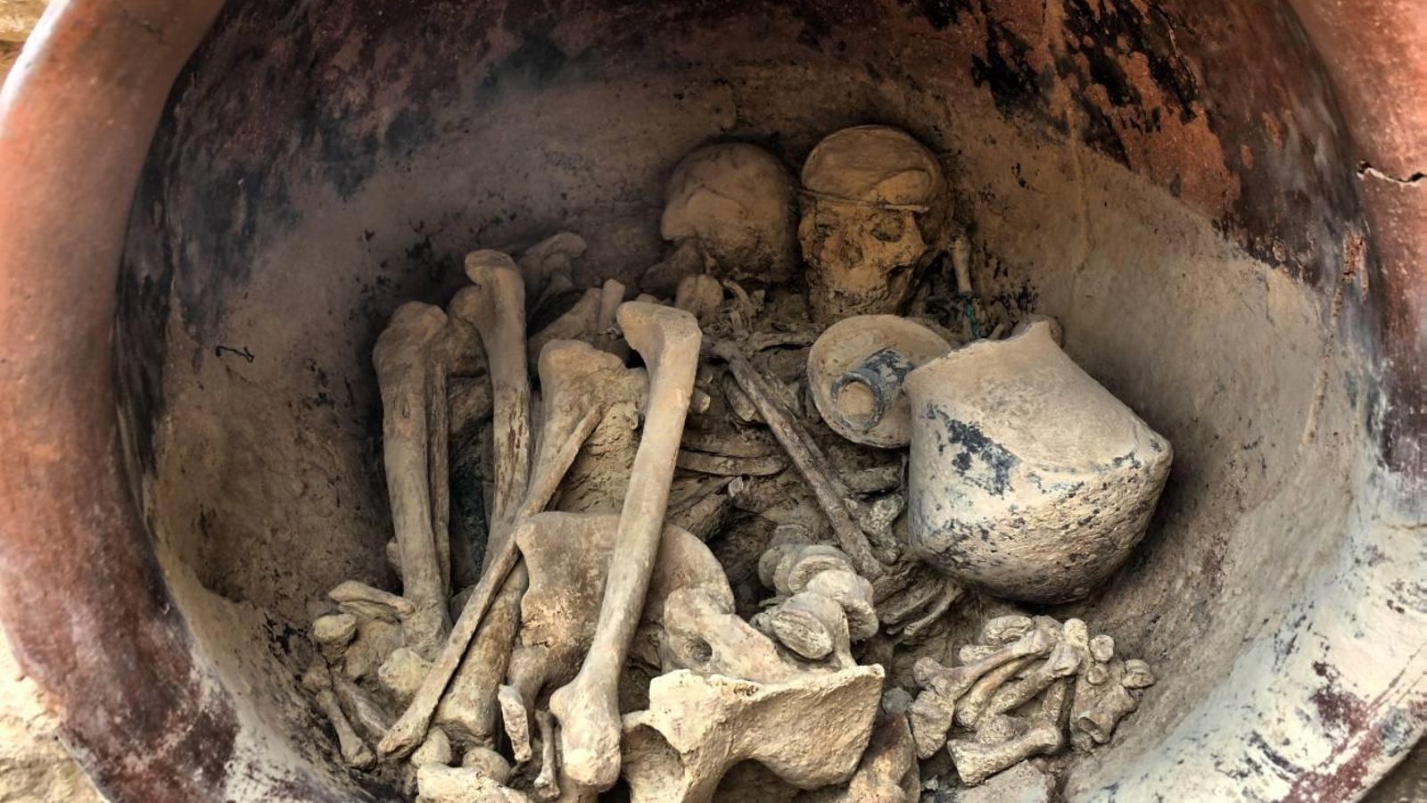 Los genomas de varios individuos revelan cambios en las poblaciones de la-Edad del Bronce en el sur peninsular.