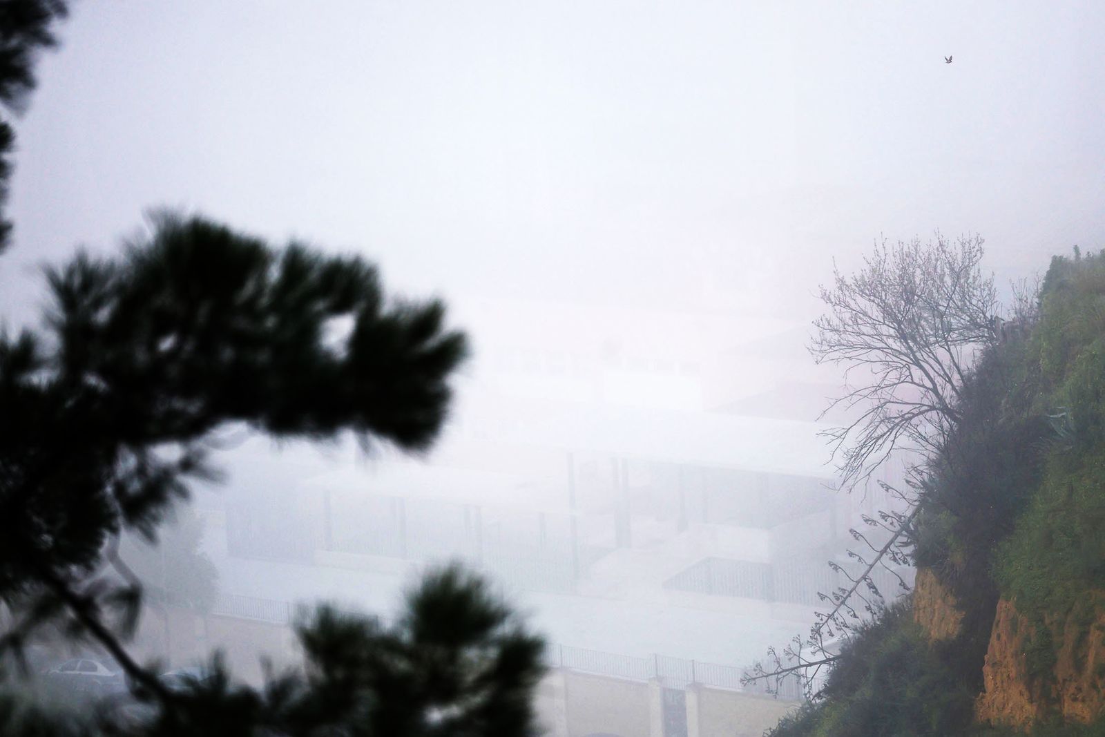 Imágenes de la espesa niebla durante la mañana en Huelva