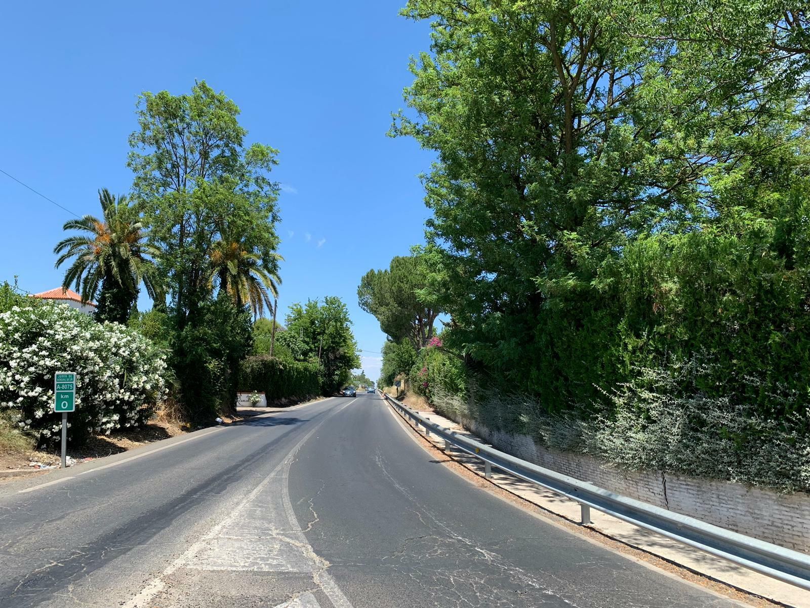 Una vista del ramal entre Espartinas y Villanueva del Ariscal, de algo menos de dos kilómetros.