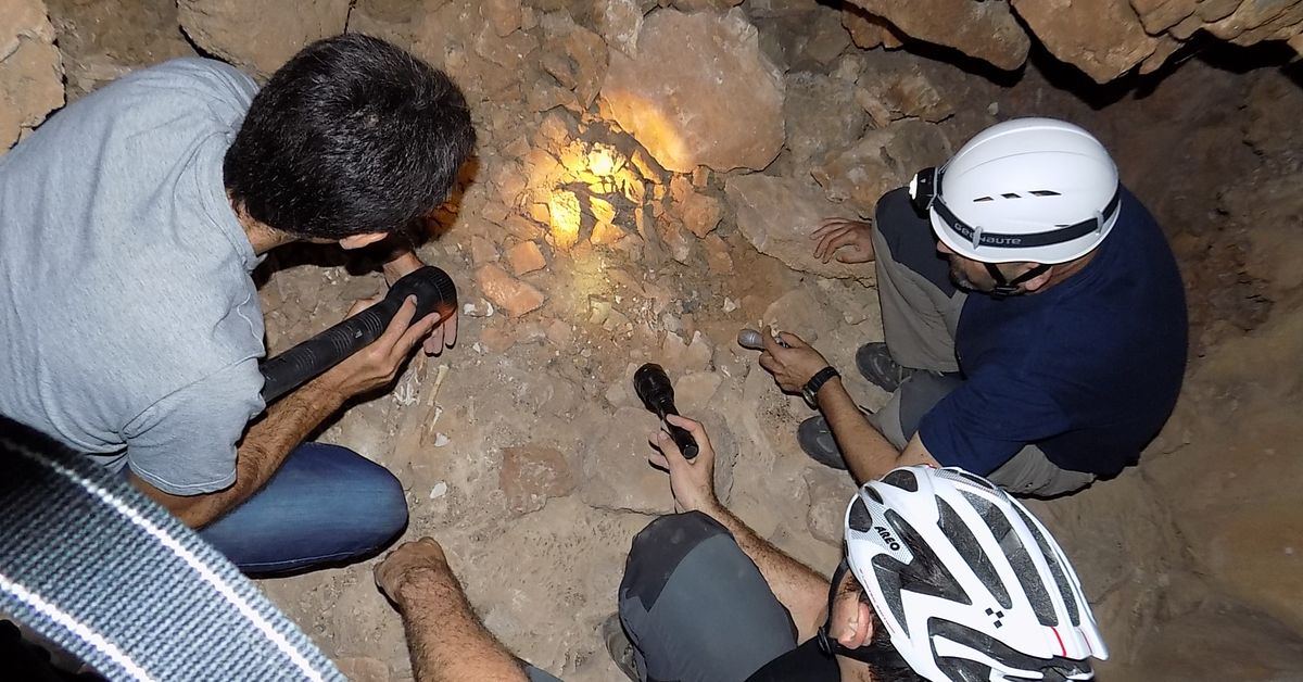 El oso pardo se ocultaba en una cueva de Almería, así se reescribe la prehistoria en la Sierra de Gádor