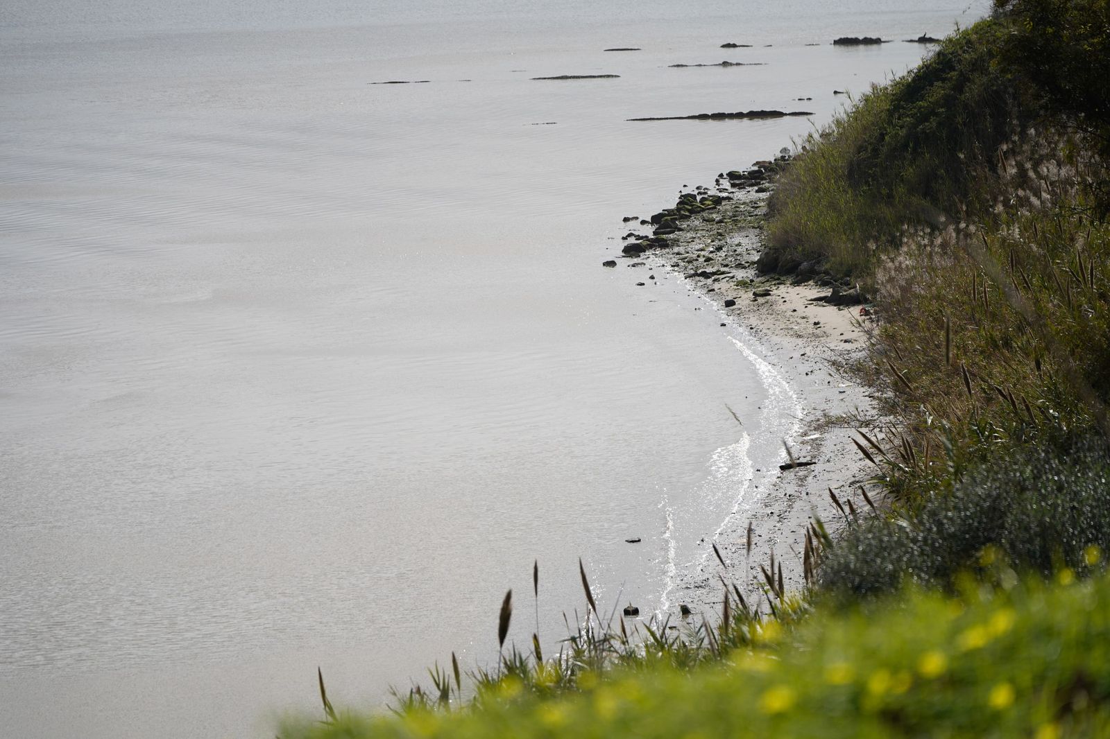 Una mañana en el paseo de la cornisa en Algeciras