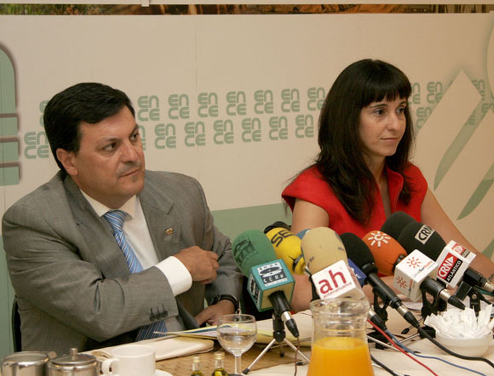 Ence invirtió 8 millones en mejoras ambientales en 2007