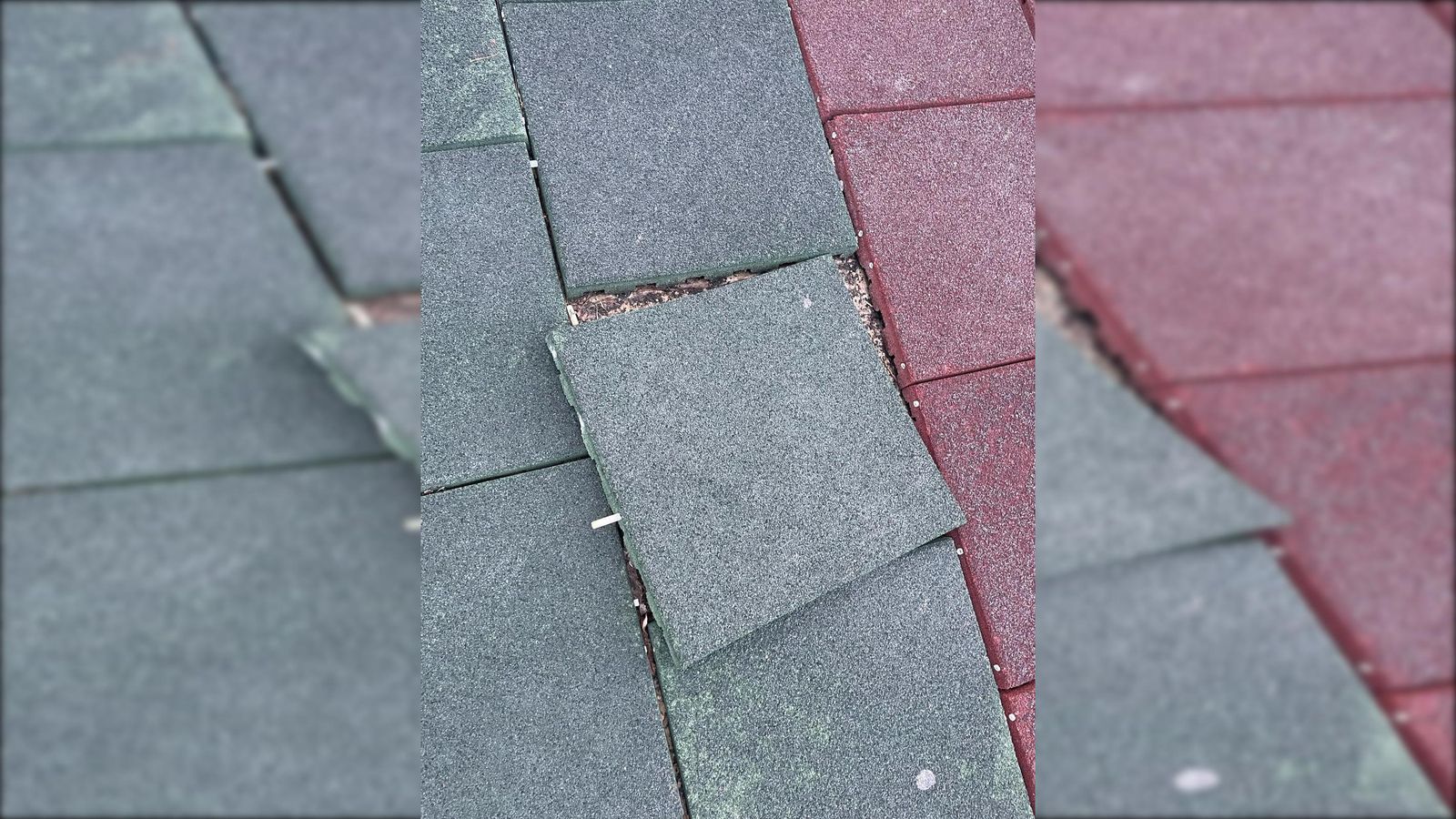 Parque Fénix, en la barriada de Getares.