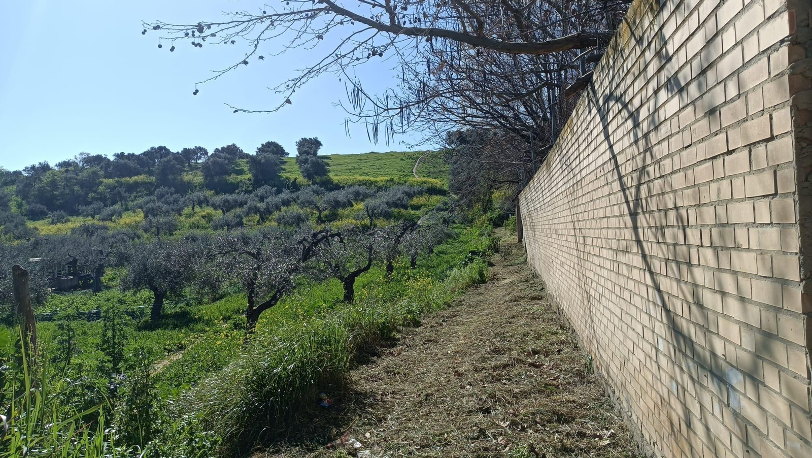 Seguimos la tapia del club de tiro con arco.