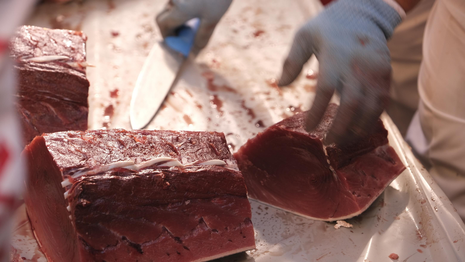 Jornadas del ronqueo del atún rojo de almadraba, en el Espacio Gastrómico Tony García.