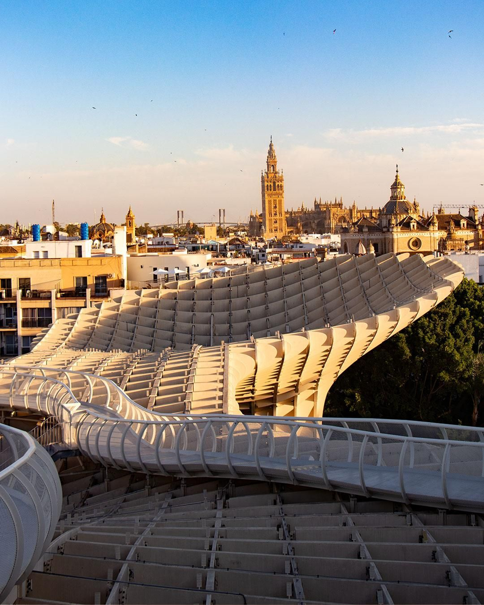 Vista desde el Metropol Parasol