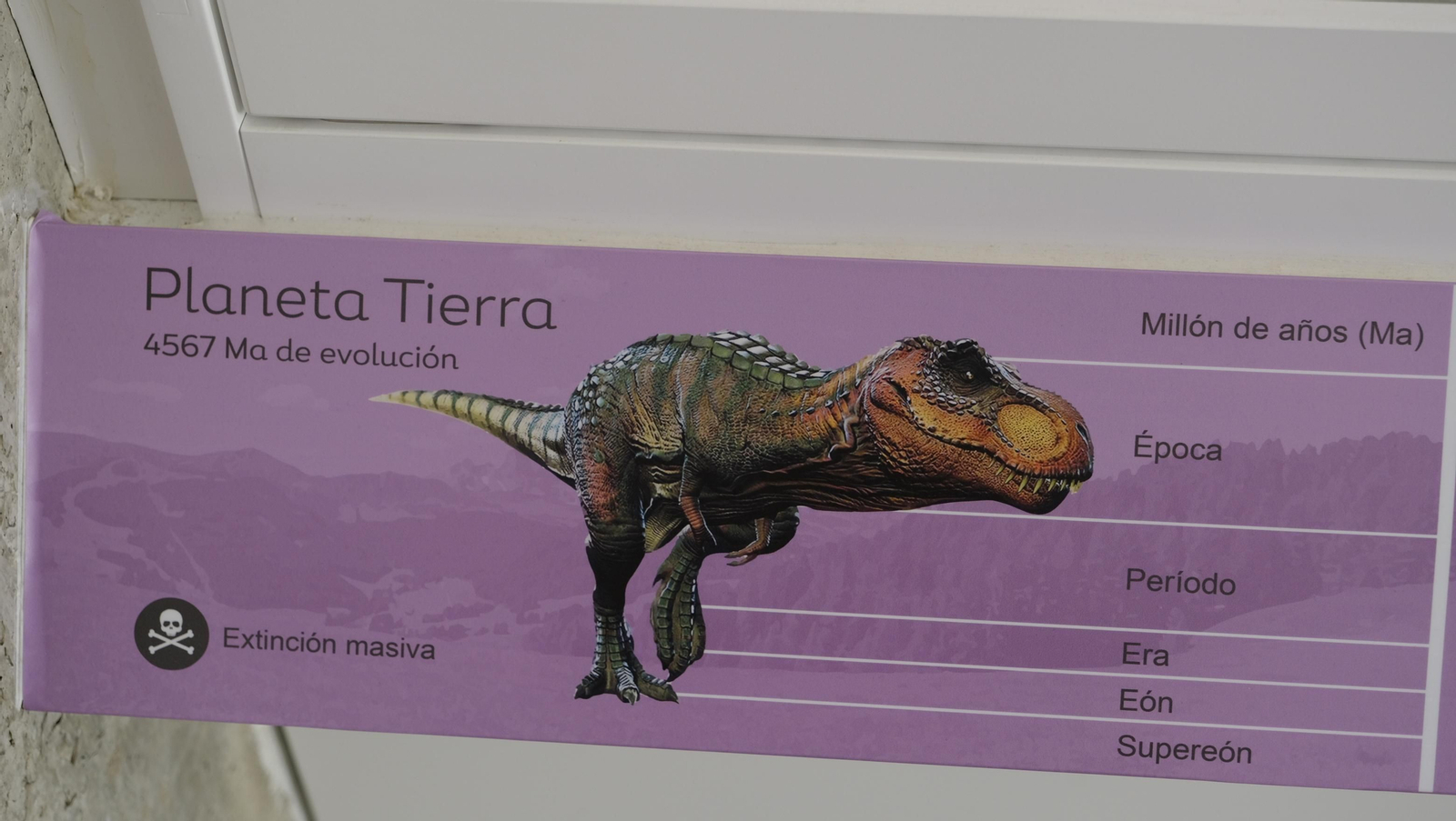 Descubre en estas fotos las maravillas que esconde el Pabellón de Historia Natural de la UAL