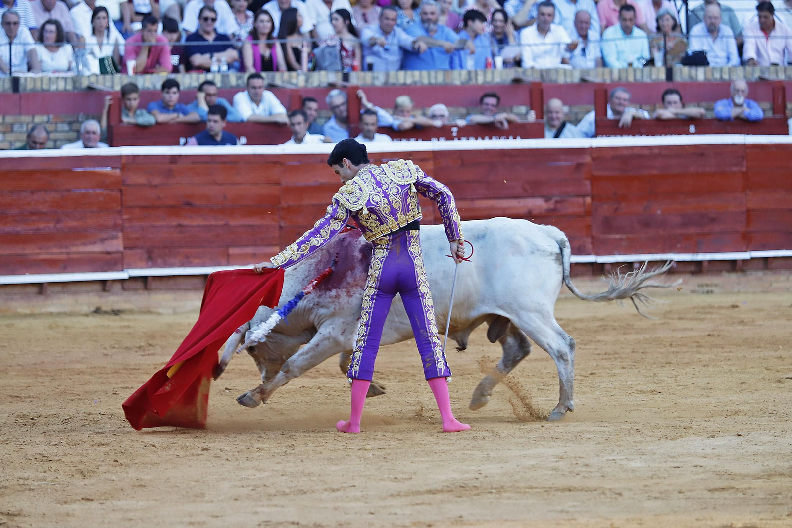 COLOMBINAS 2023: Festejo del miércoles de la Feria Taurina