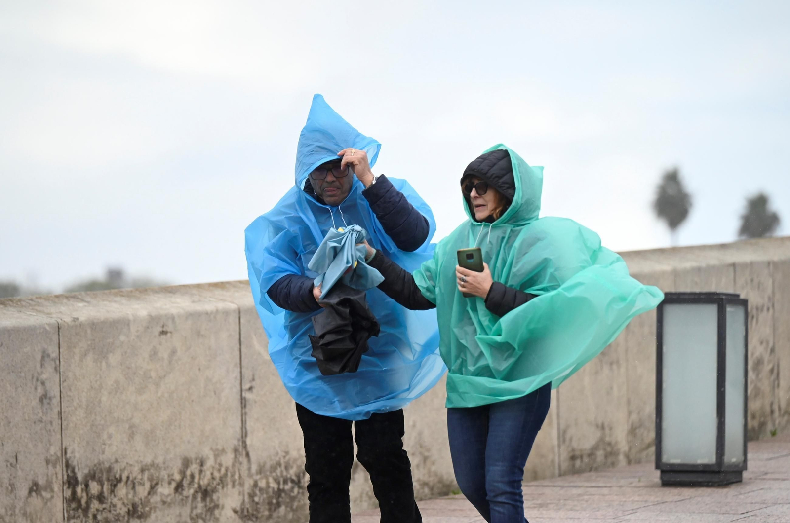 El paso por la borrasca Konrad por Córdoba, en imágenes