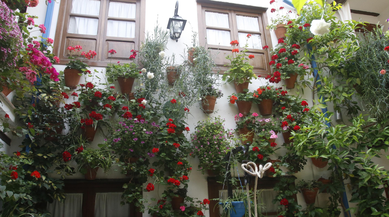 Ruta Regina - Realejo de los Patios de Córdoba, en imágenes