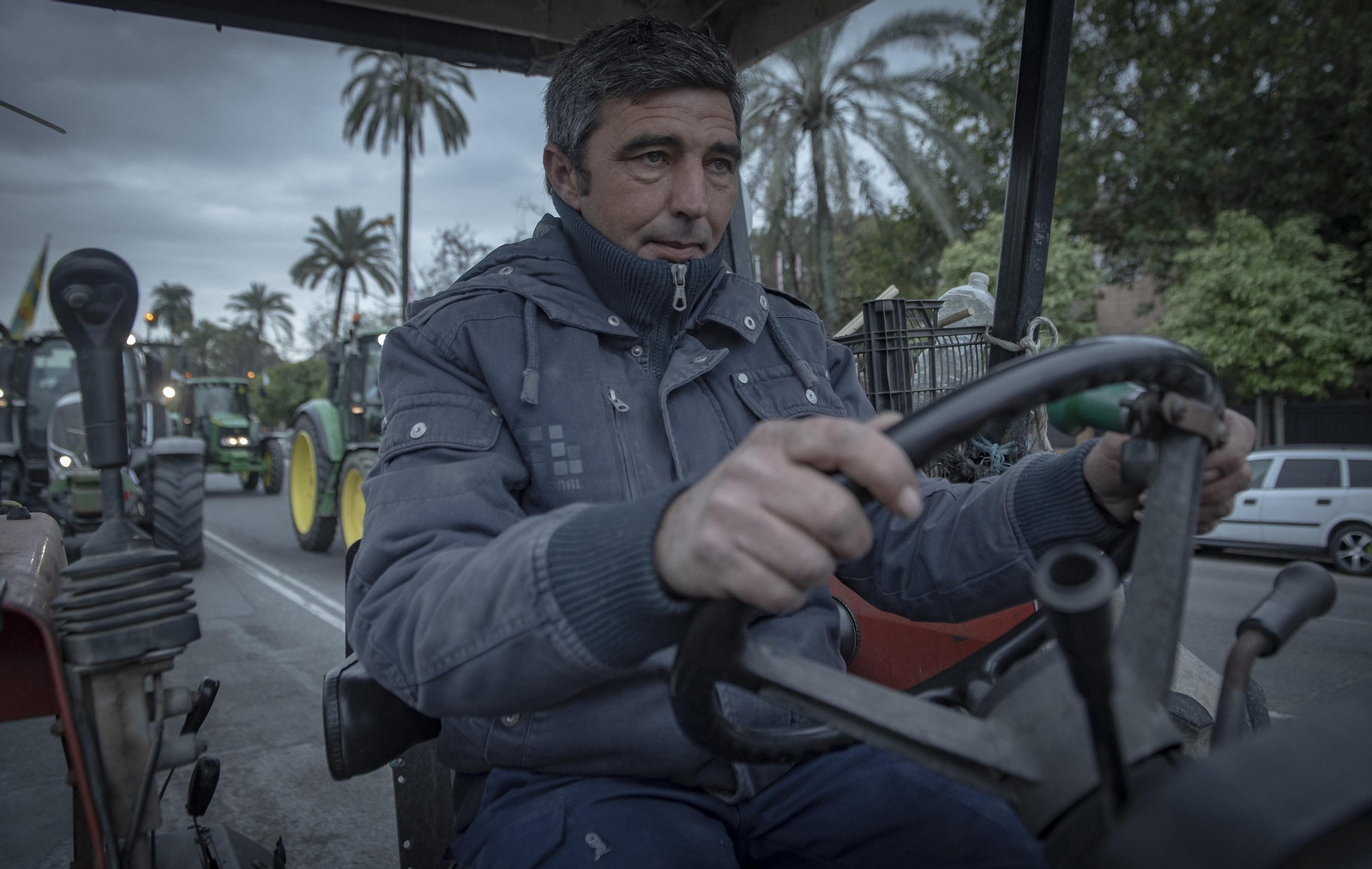 Las imágenes de la manifestación de agricultores de toda Andalucía en Sevilla