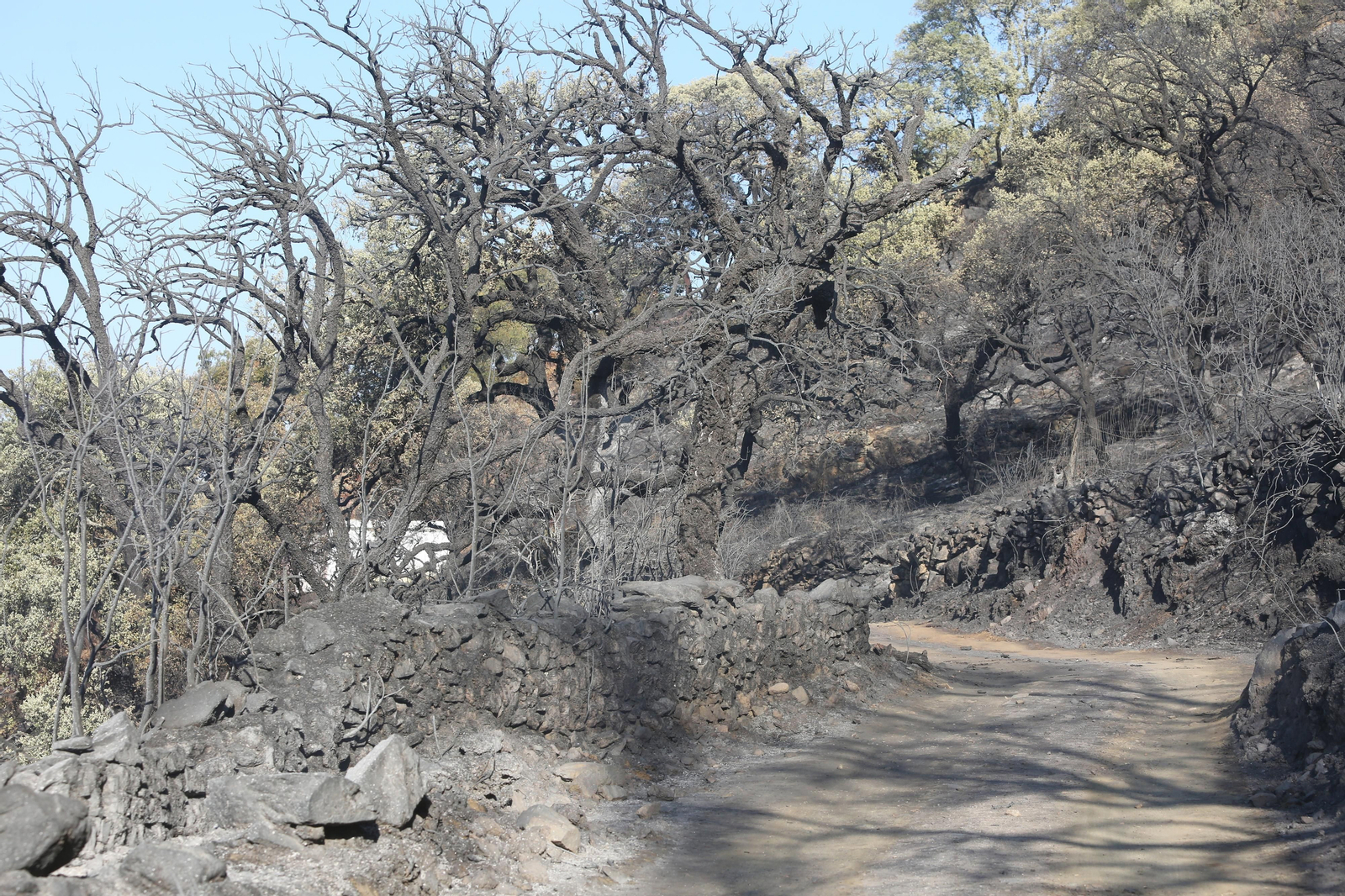 Imágenes del área afectada por el fuego del segundo día en el incendio de Almonaster