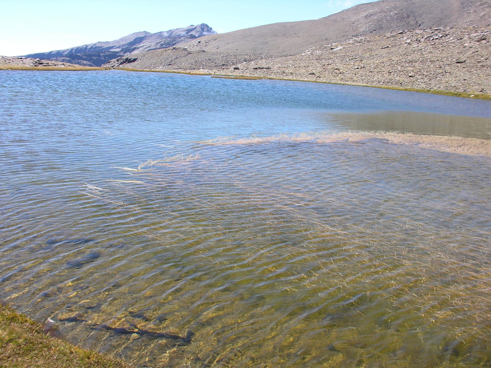 Lagunas de Sierra Nevada