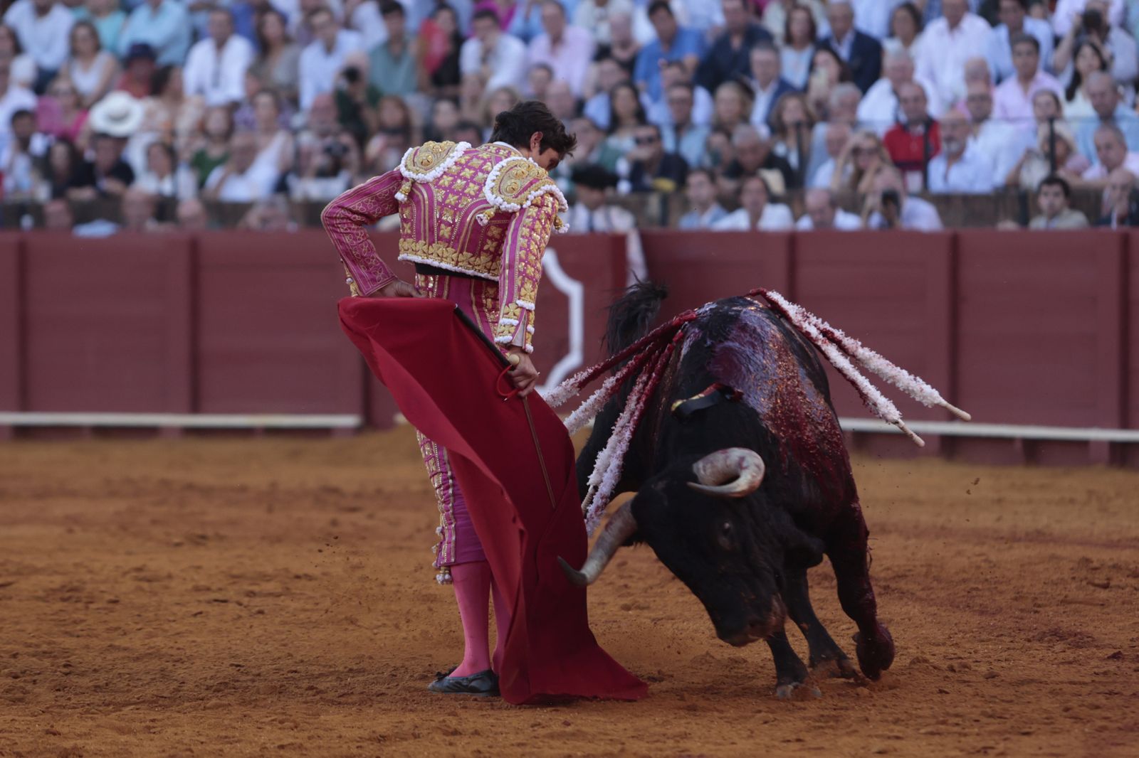 El triunfo de Castella en imágenes