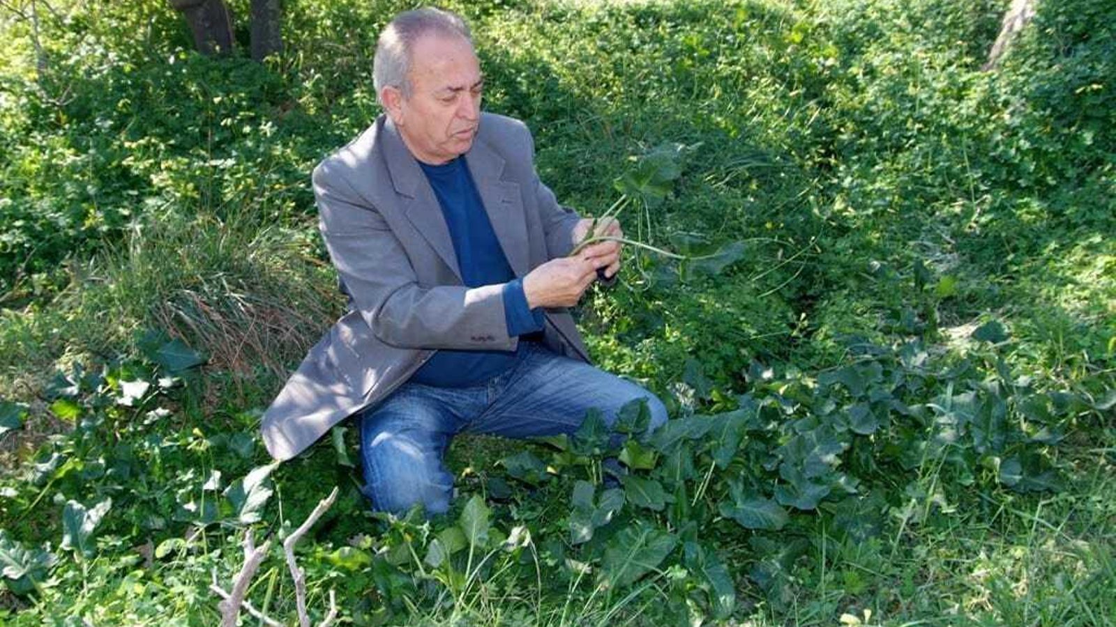 Pepe Buitrago, cabañuelo con más de 64 años de experiencia en interpretar la naturaleza para predecir el tiempo que hará en los próximos meses en la provincia de Almería