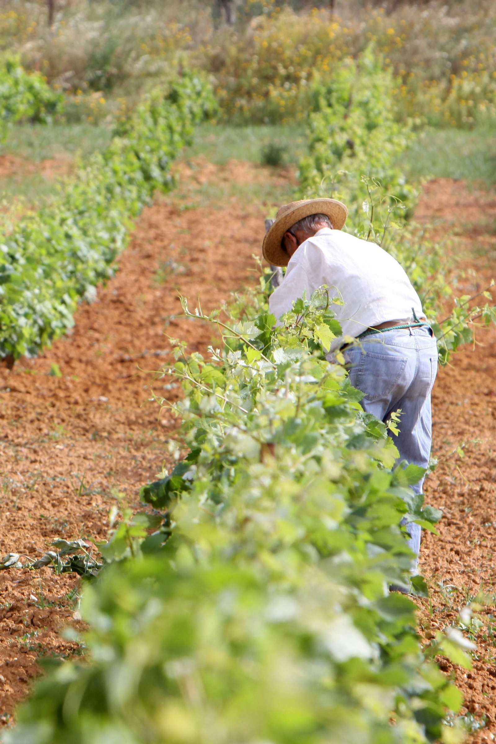Paso corto, vista larga y mala leche