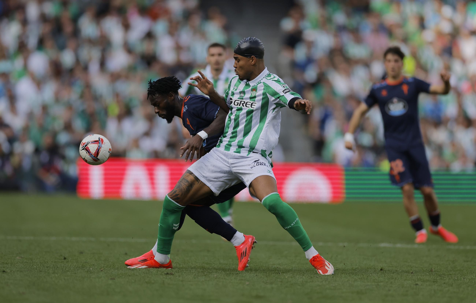Las fotos del Betis - Celta