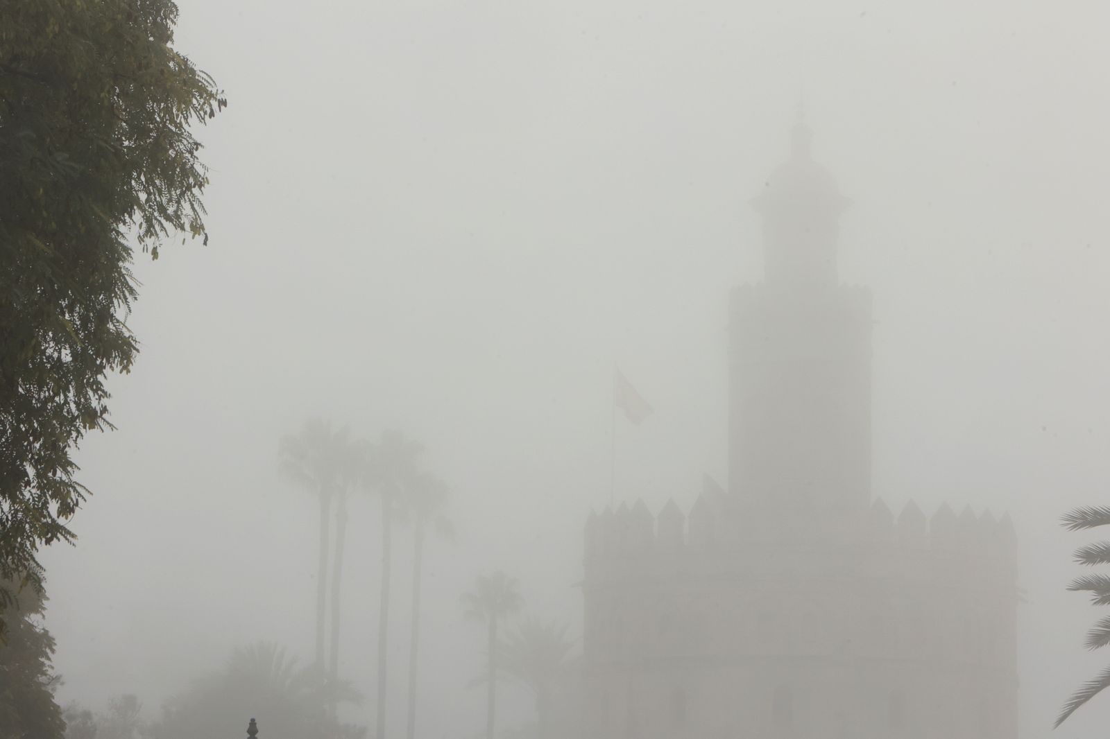 Las mejores imágenes de la niebla que cubría  Sevilla de nuevo