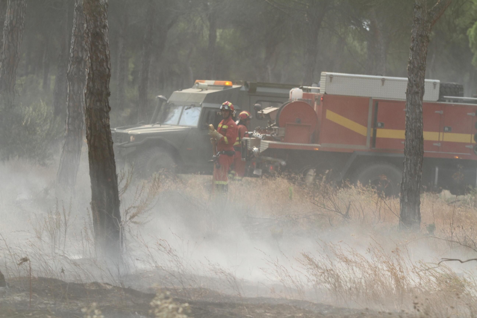 Las imágenes del incendio en Moguer y Mazagón