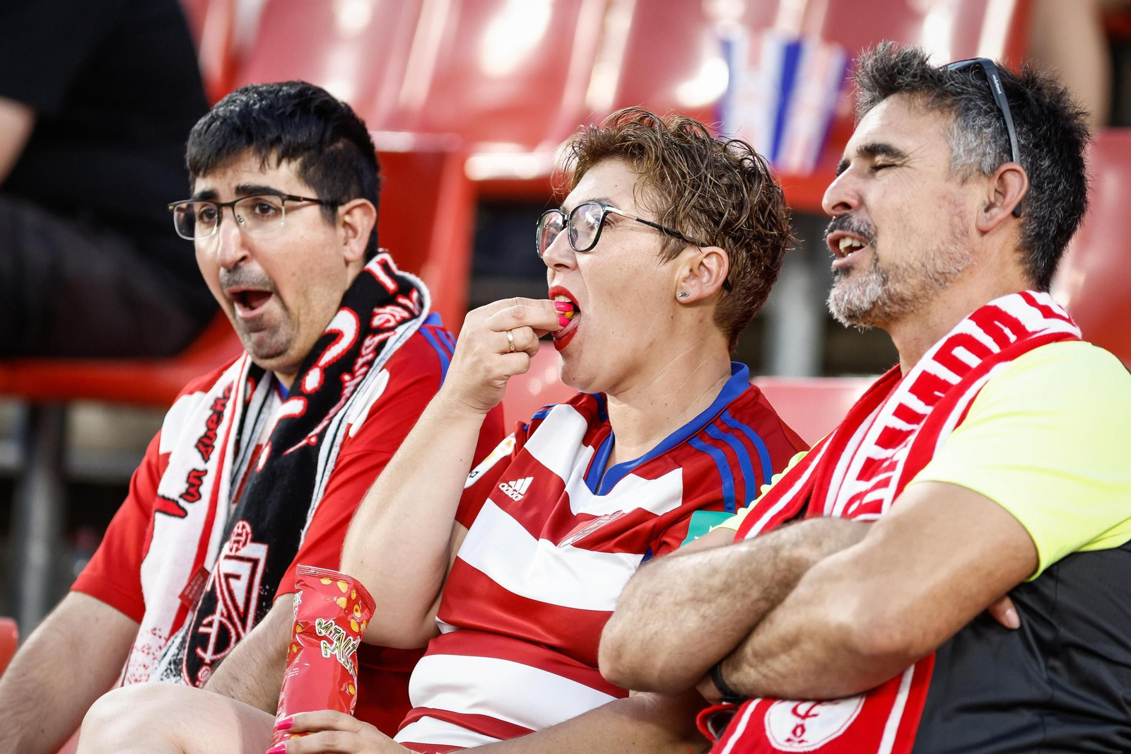 Encuéntrate en la grada de Los Cármenes y en el recibimiento al Granada CF