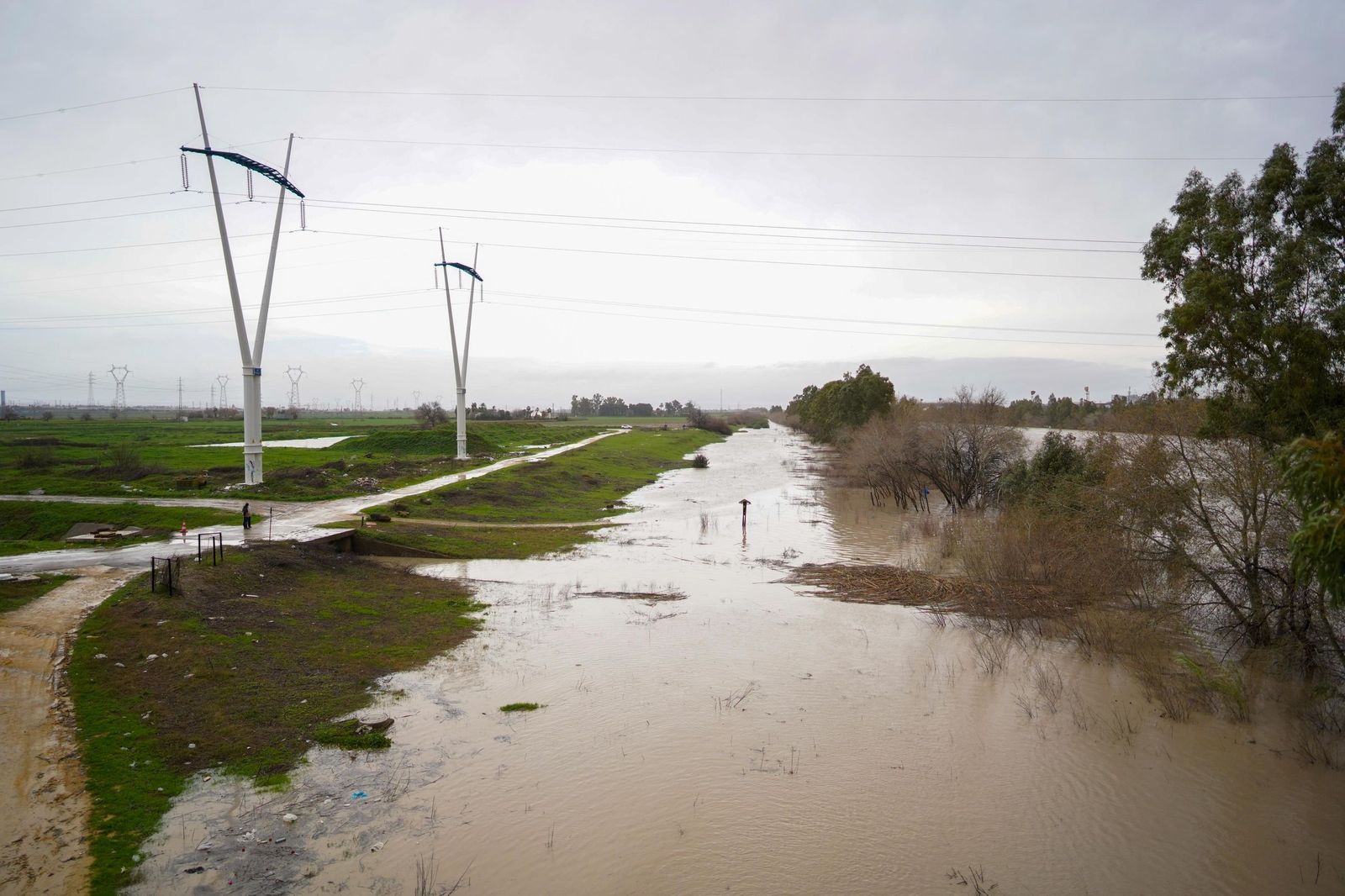 WhatsApp Image 2026-02-07 at 16.49.36 (1)