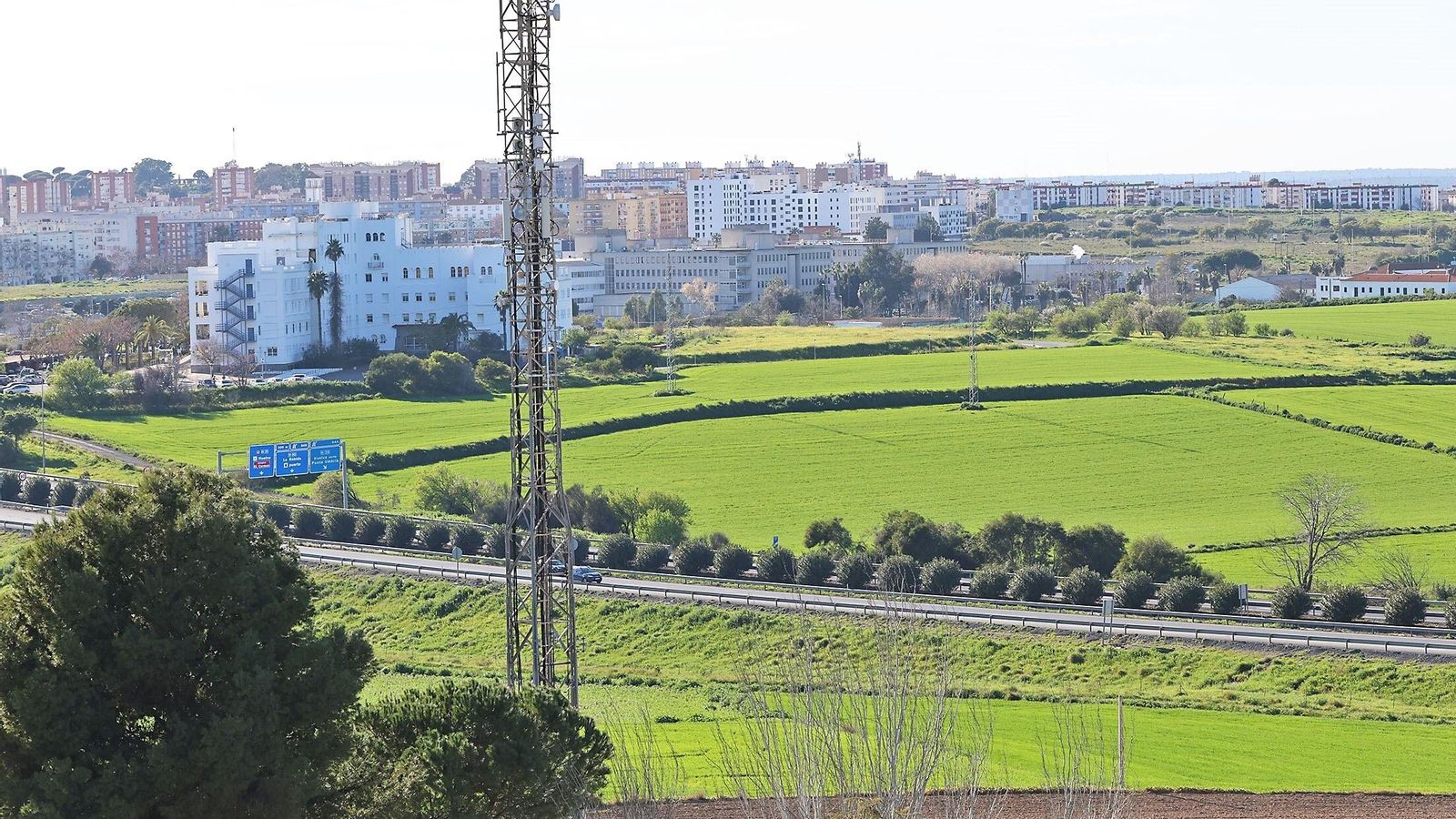 Terrenos de la zona de expansión al norte del casco urbano de Huelva.