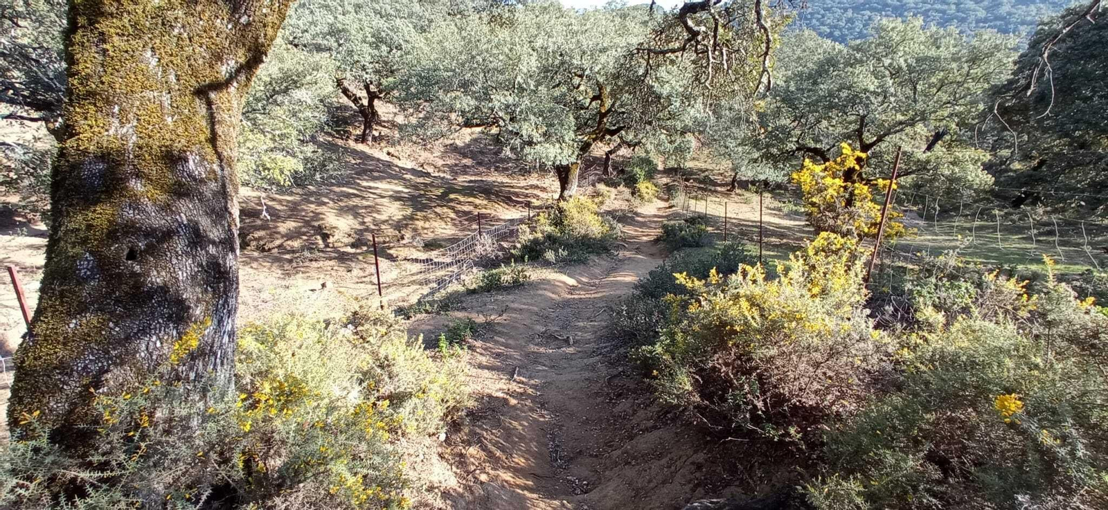 Fotos de la Ruta circular Aracena-Linares de la Sierra-Aracena