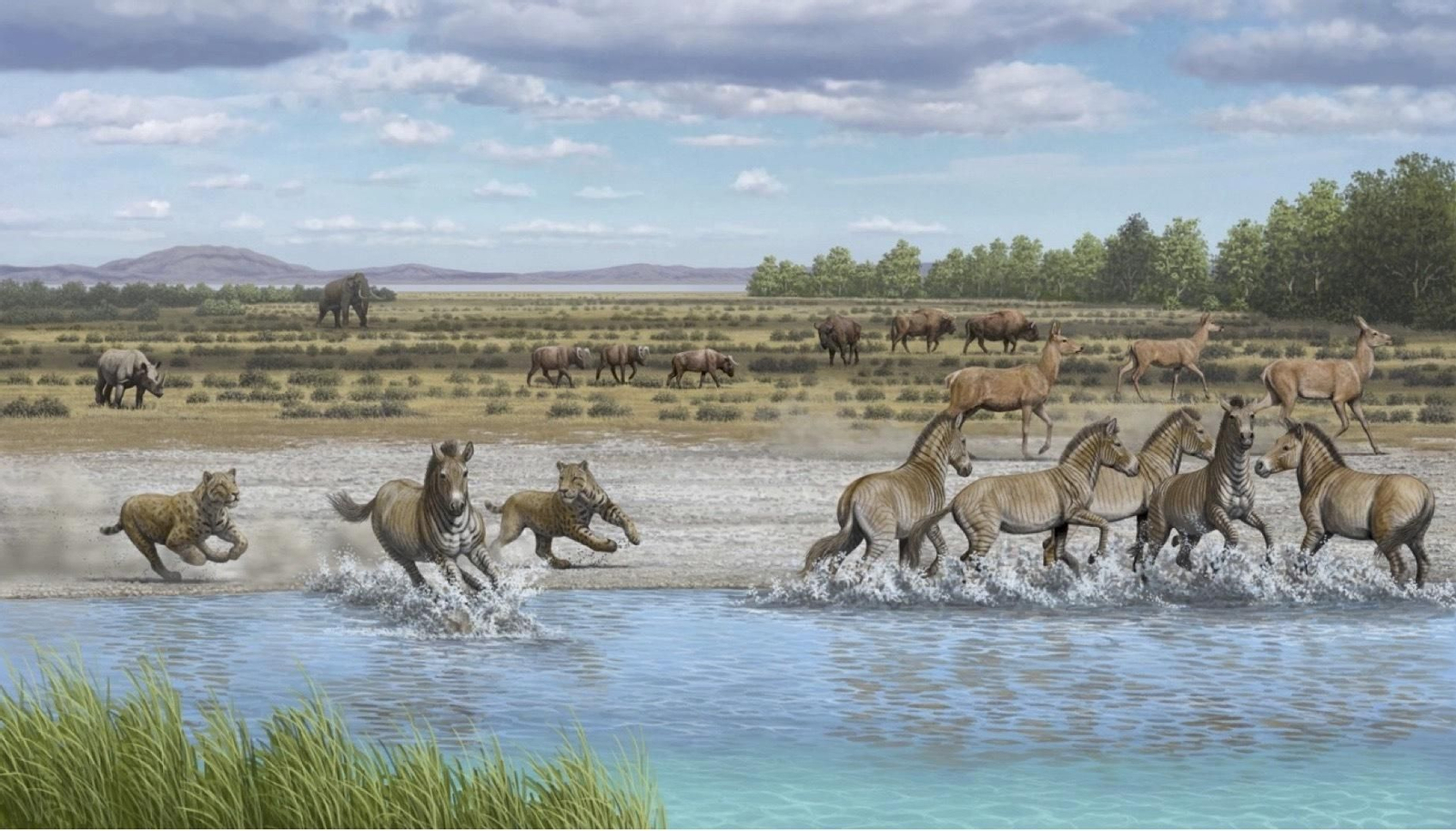 Recreación de Orce antes de la llegada de los homínidos, hace 1,6 millones de años. Dibujo: Mauricio Antón