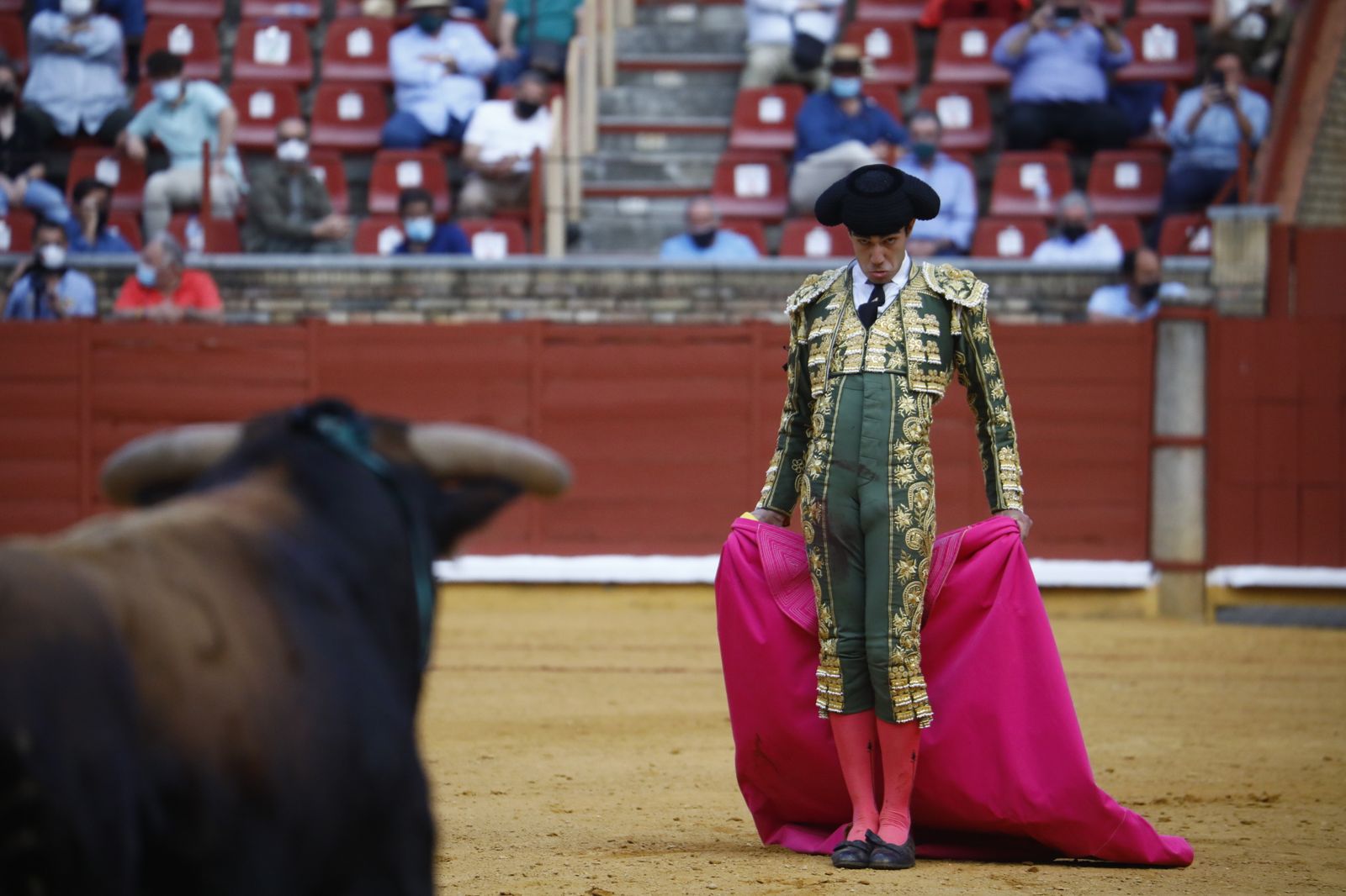 Las fotografías de la novillada con picadores de la Feria Taurina de Córdoba