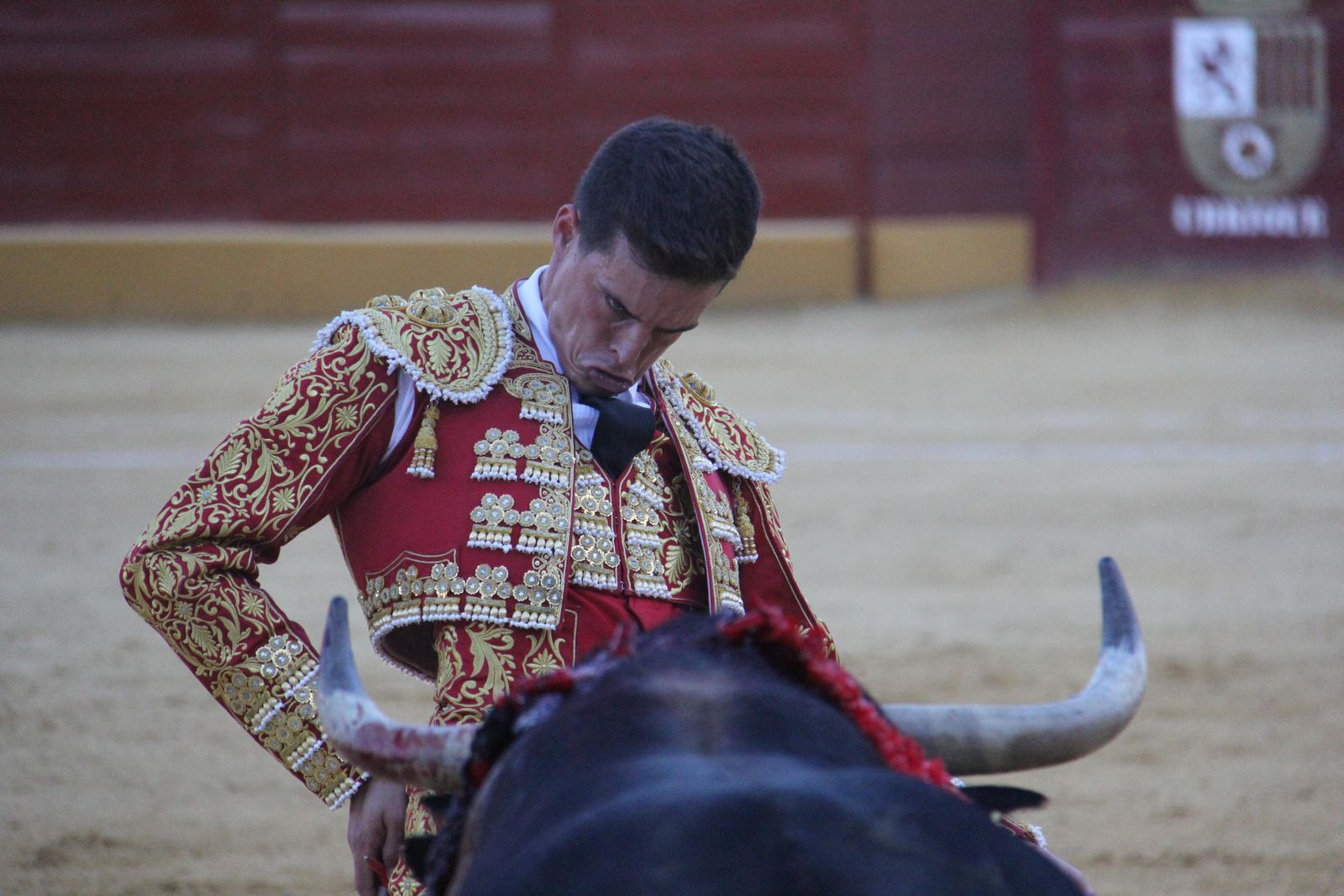 David Galván, en una corrida en Ubrique en septiembre,