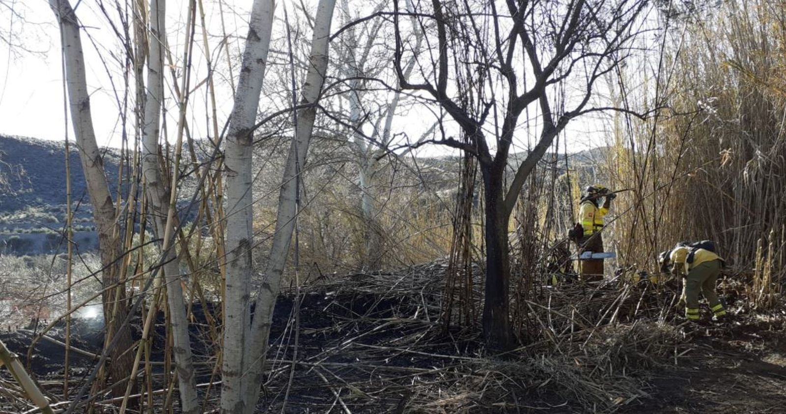 Trabajo de liquidación de las llamas.